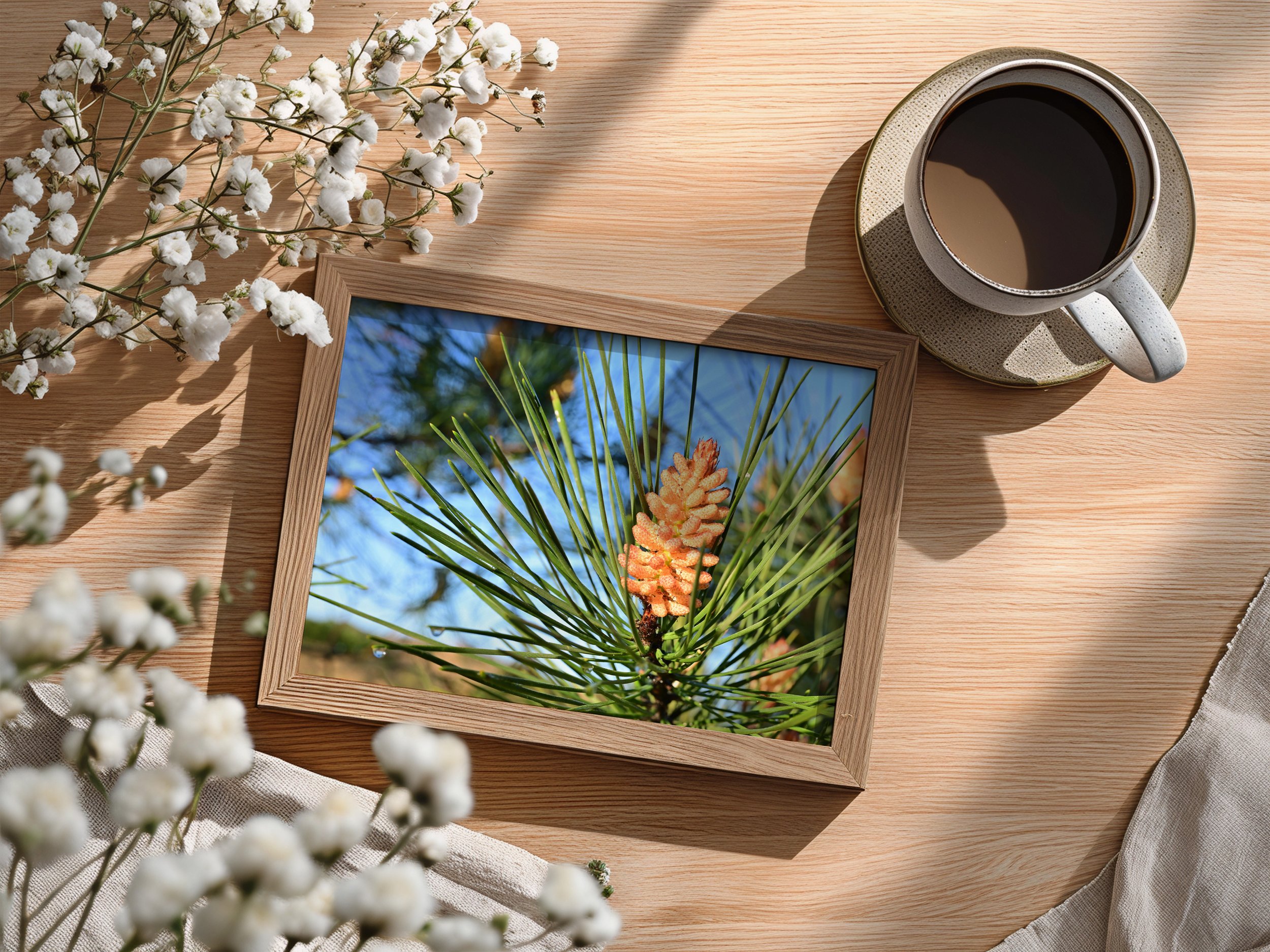 Mockup-coffee-pine.jpg