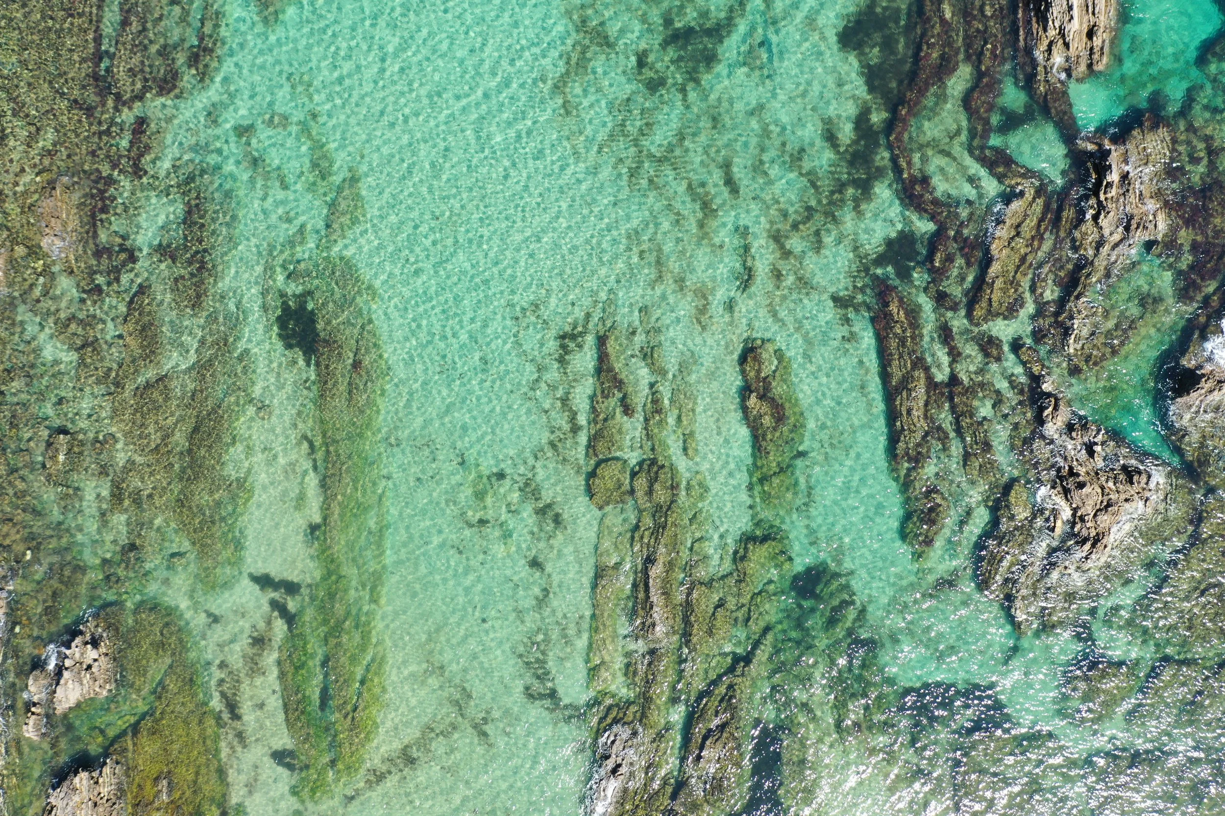 Cristal Clear Water