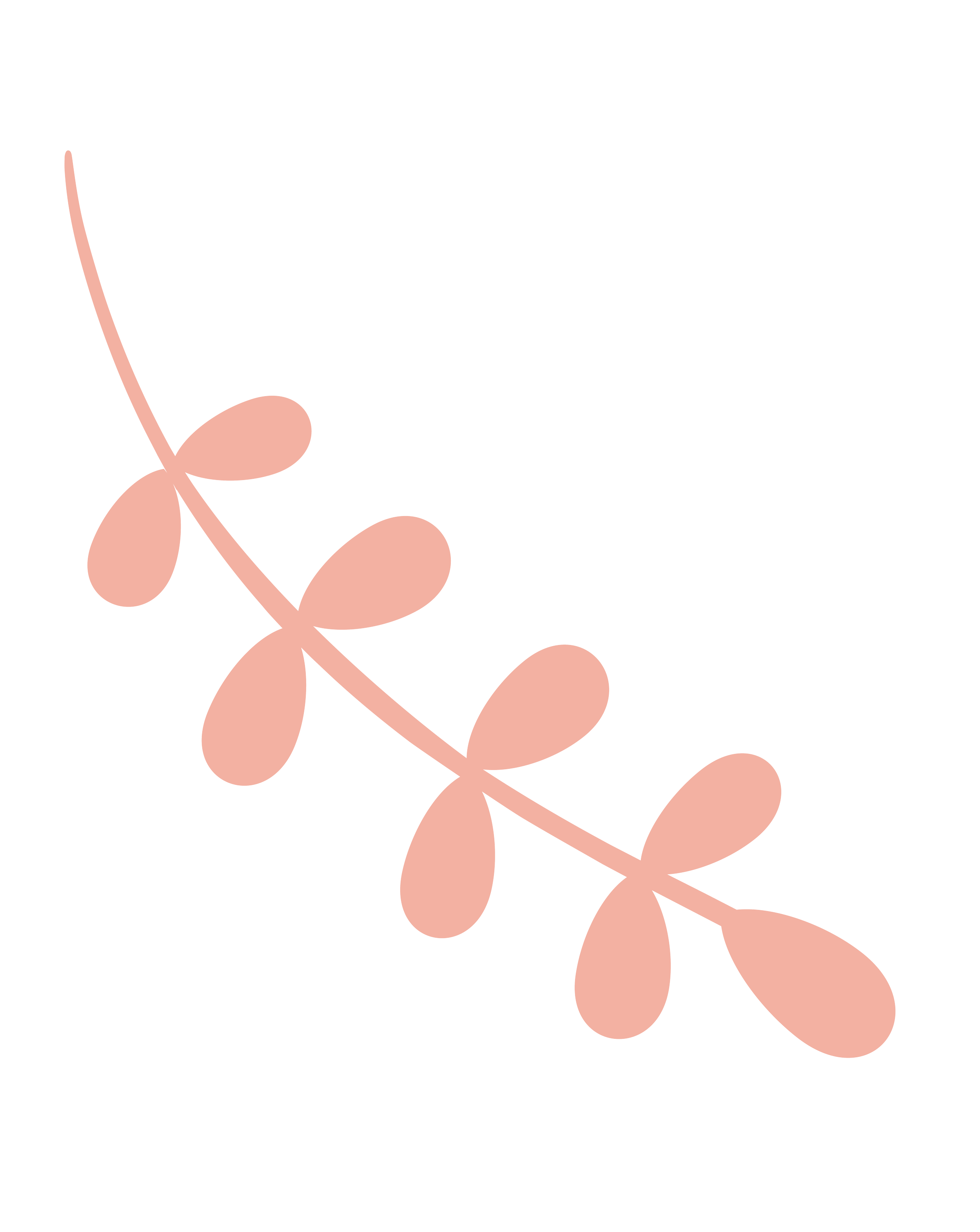 A pink botanical illustration of a stylized leafy branch on a black background.