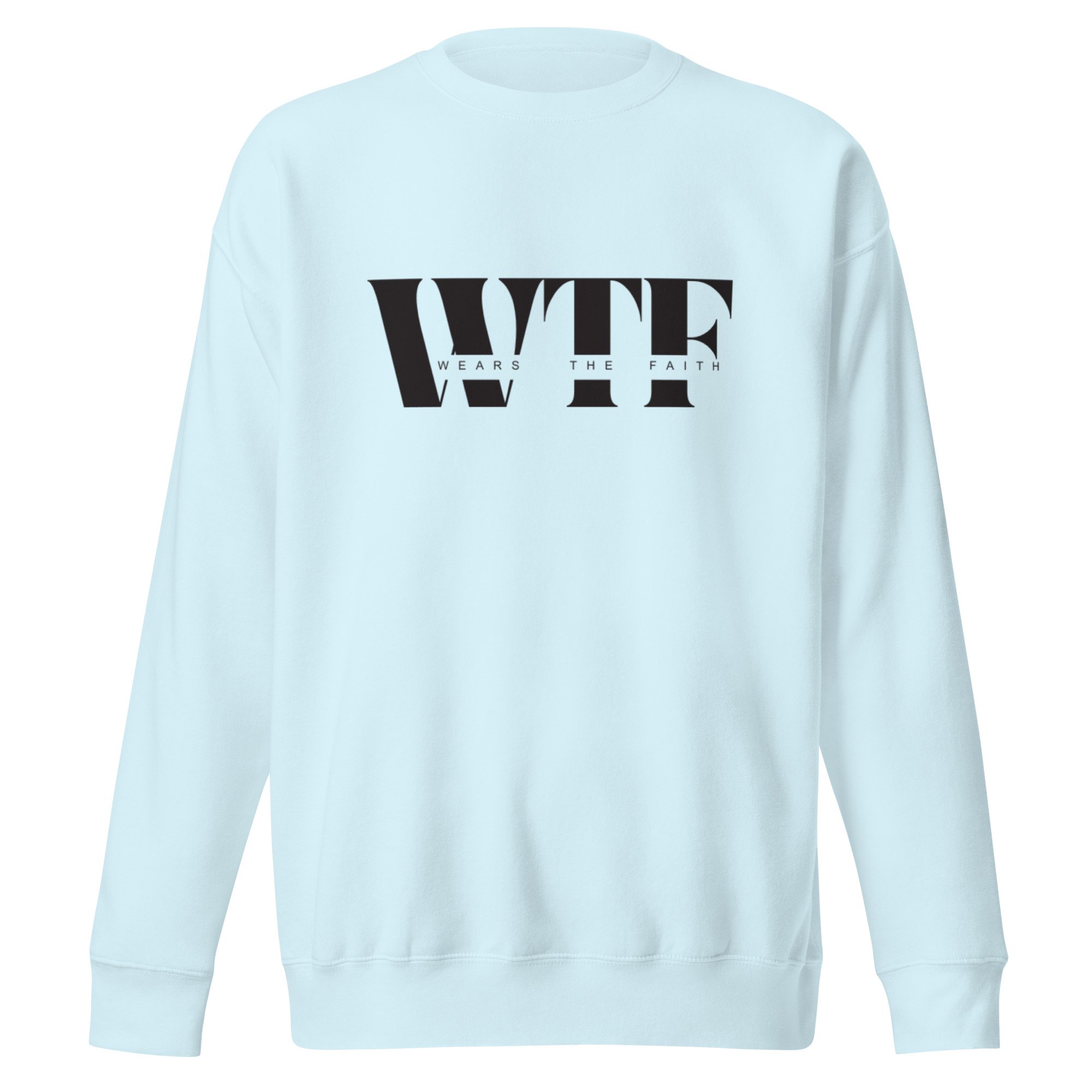 unisex-premium-sweatshirt-sky-blue-front-695ecf149c635.jpg