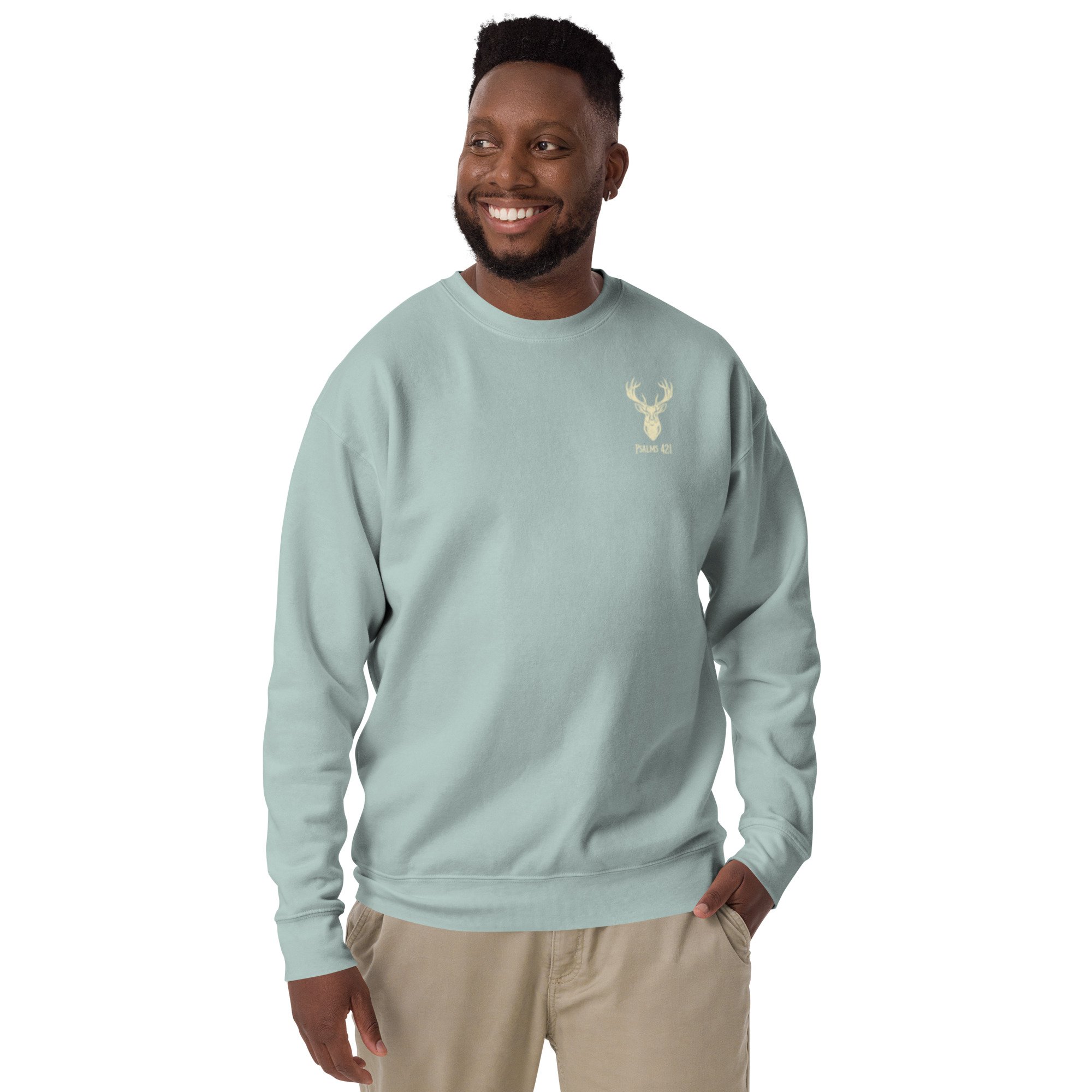 unisex-premium-sweatshirt-agave-front-6a1f2c15870f8.jpg