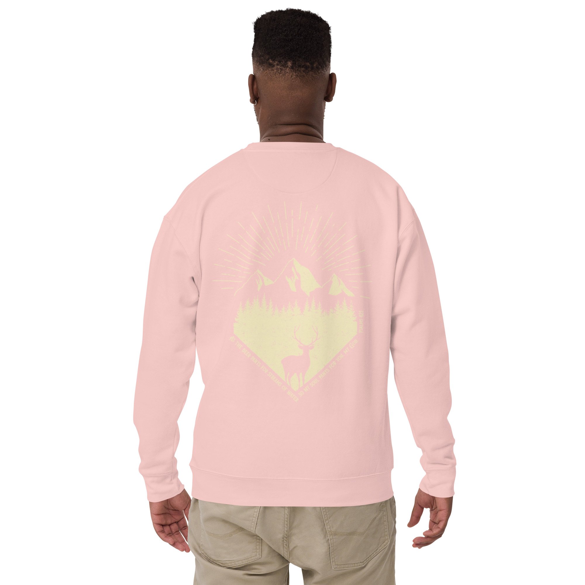 unisex-premium-sweatshirt-light-pink-back-6a1f2c158594c.jpg