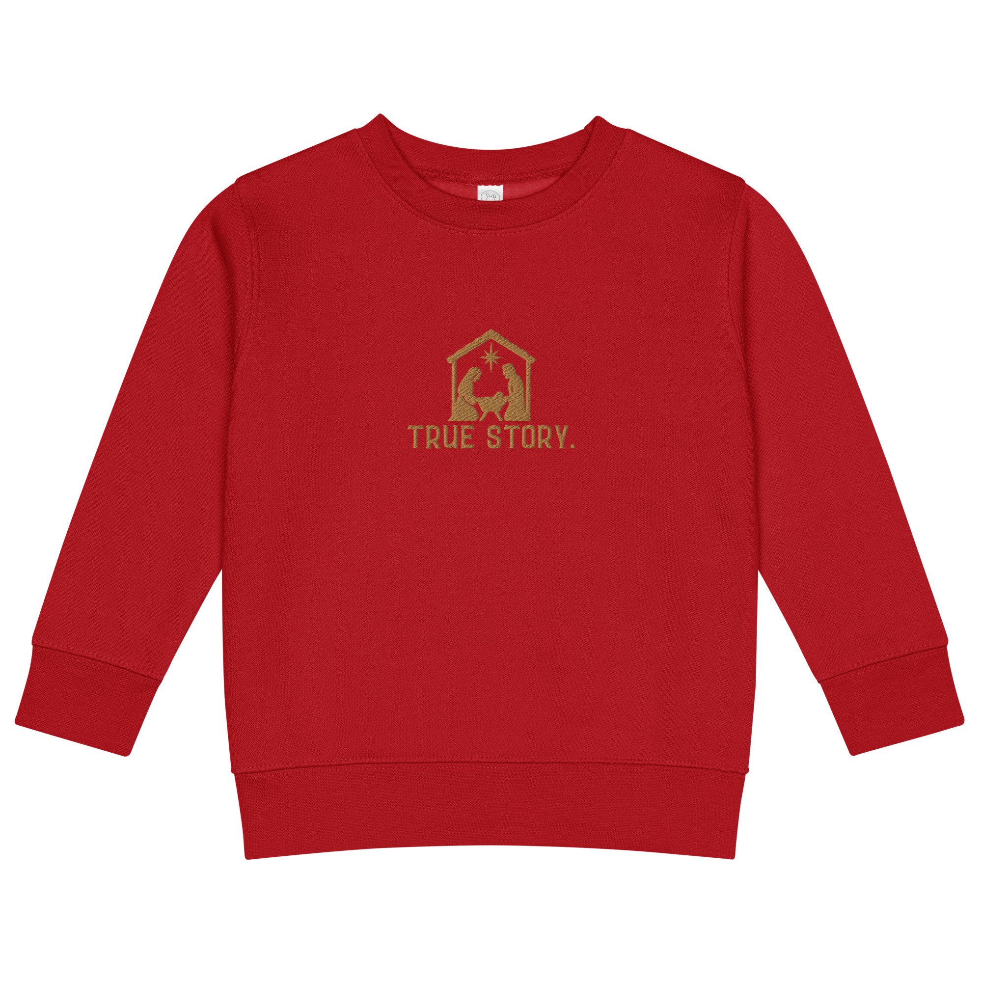 kids-crew-neck-sweatshirt-red-front-6ae4e7b0e80a6.jpg