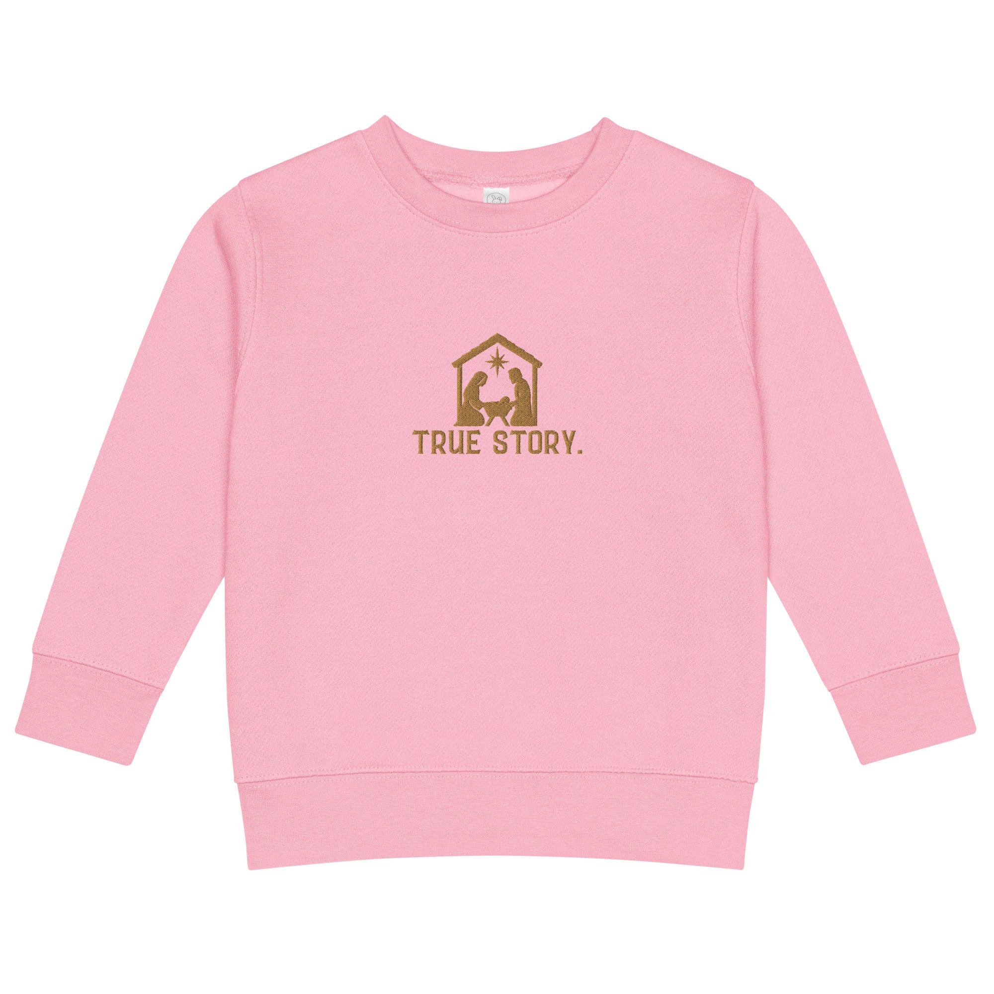 kids-crew-neck-sweatshirt-pink-front-6ae4e7b0e8086.jpg