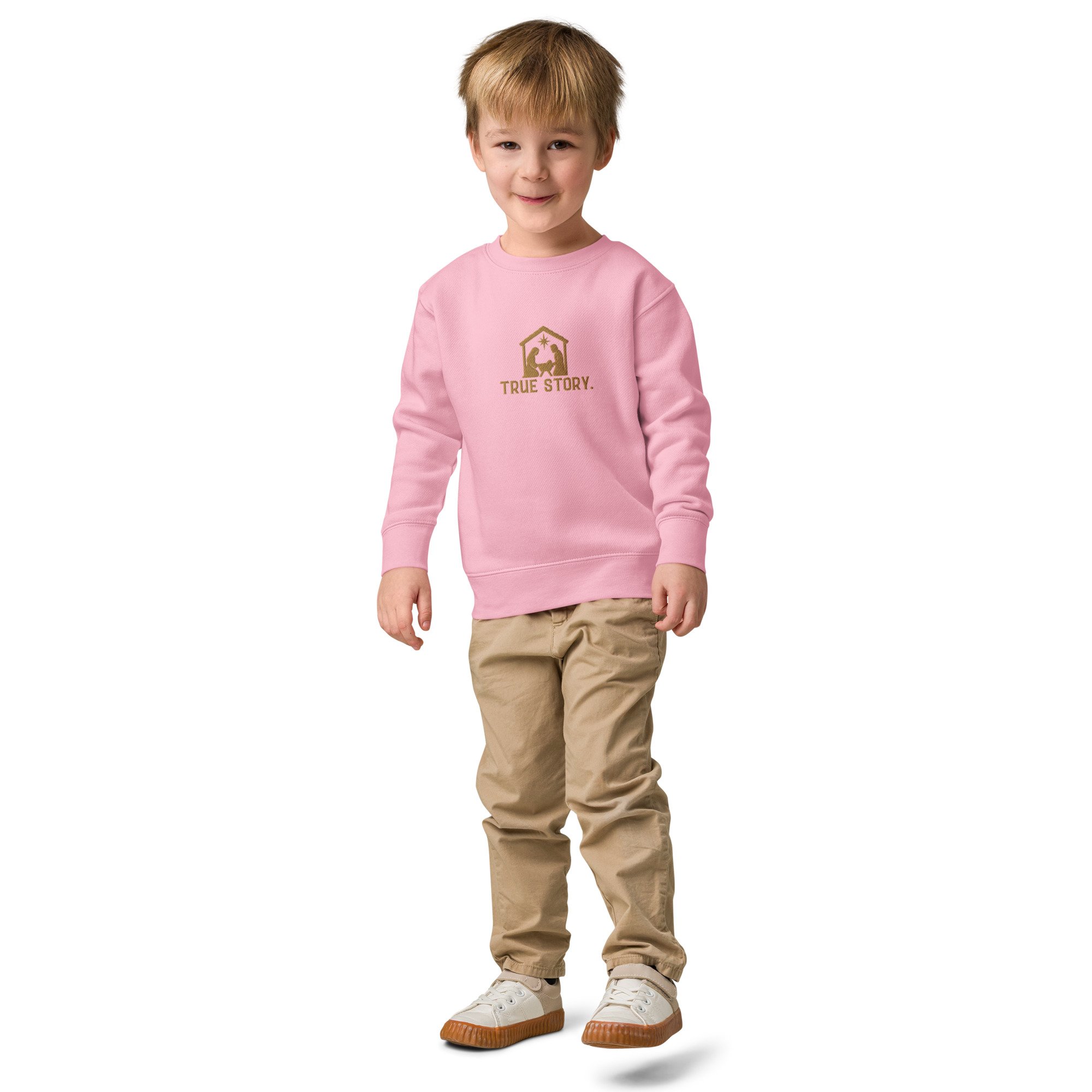 kids-crew-neck-sweatshirt-pink-front-6ae4e7b0e94fe.jpg