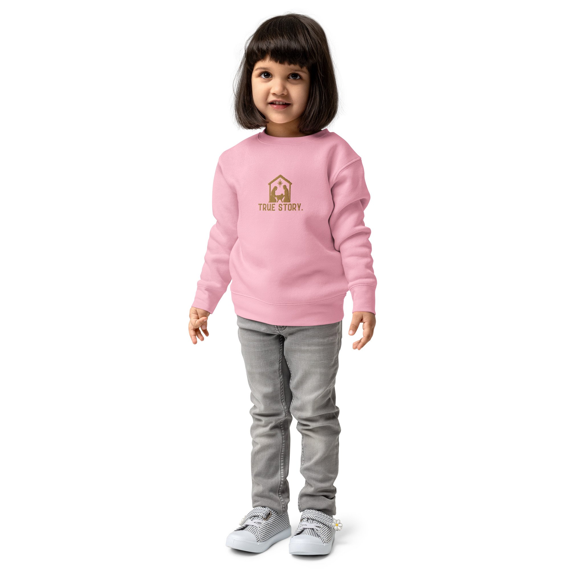 kids-crew-neck-sweatshirt-pink-front-6ae4e7b0e9f7c.jpg