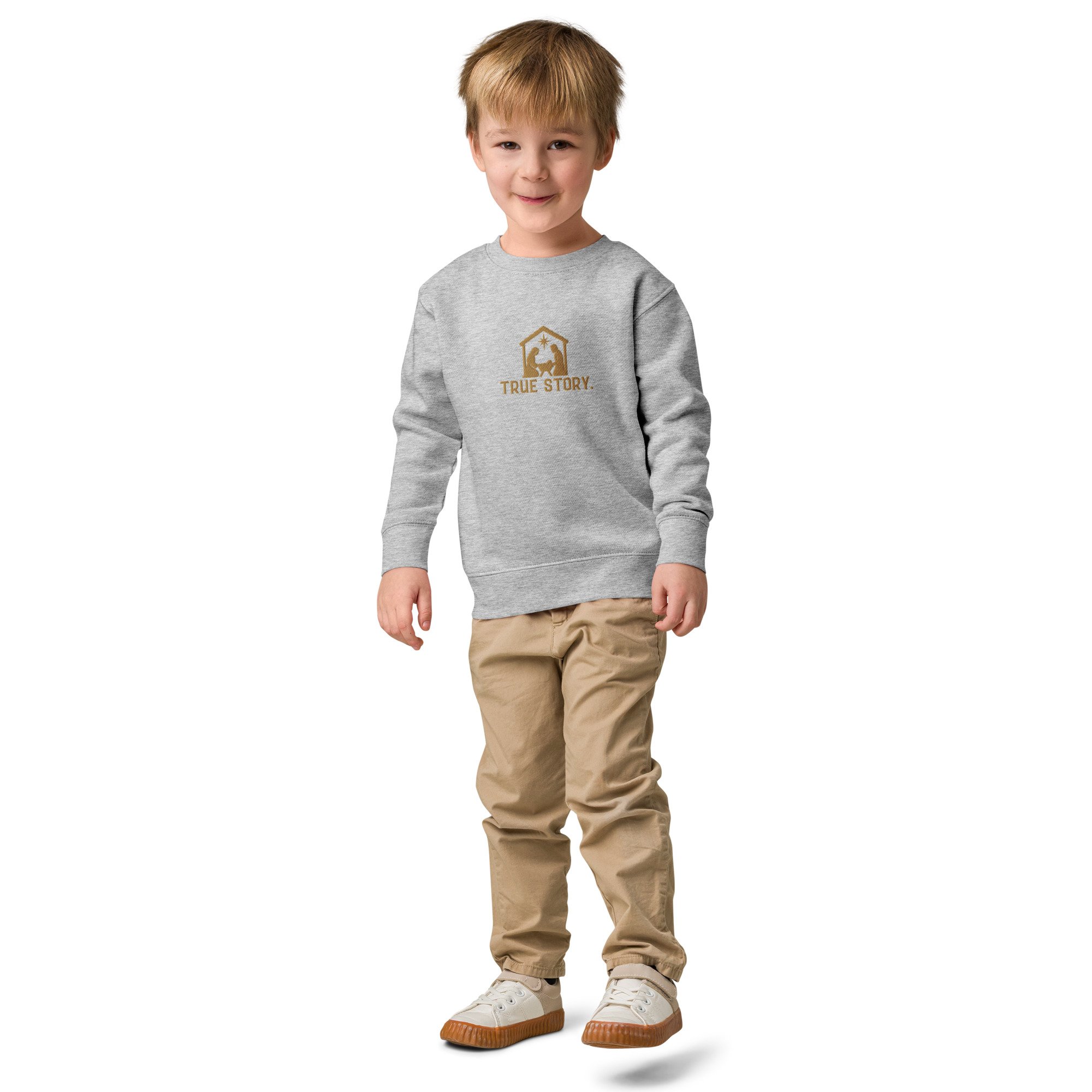 kids-crew-neck-sweatshirt-heather-front-6ae4e7b0e9493.jpg