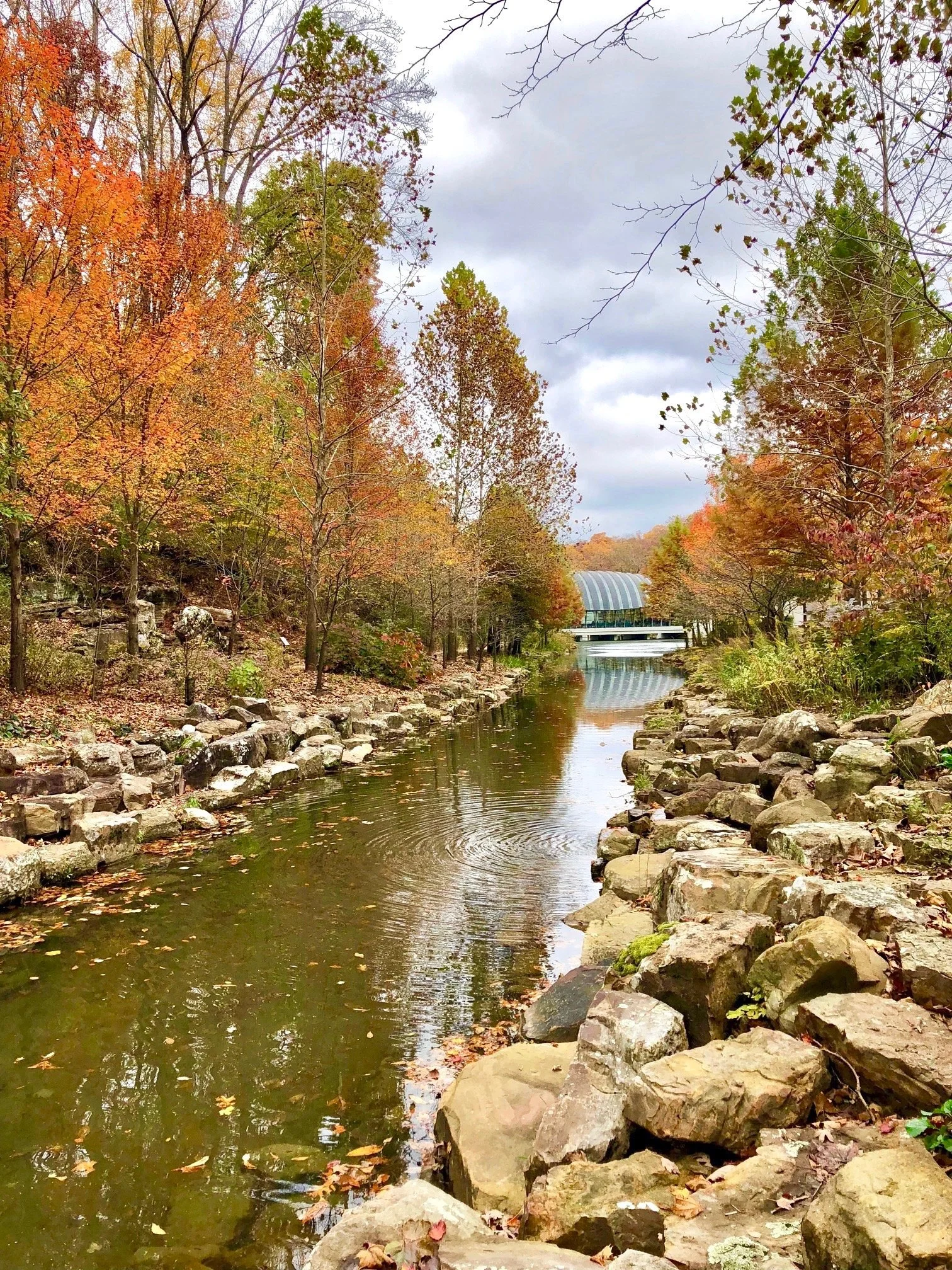 Searching for a Therapist Near Me in Bentonville? How to Tell Who's a Good Fit Before You Book