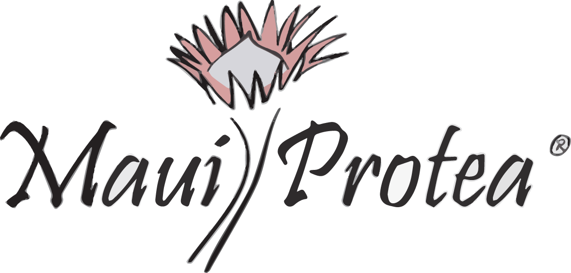 Maui Protea.png