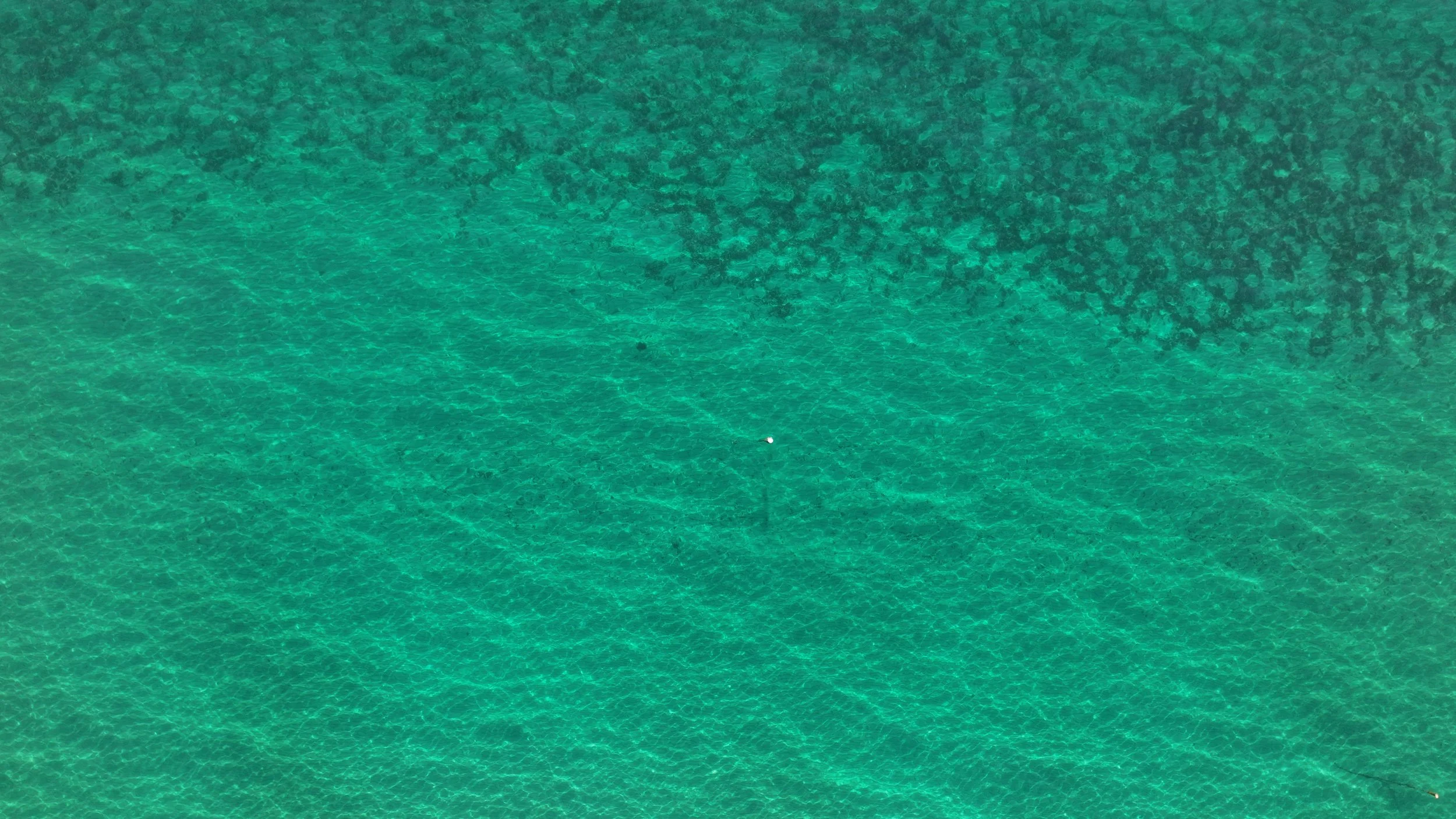 reef DJI_20240419092012_0136_D.JPG