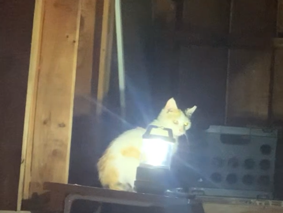 Screenshot 2024-08-27 234828.png