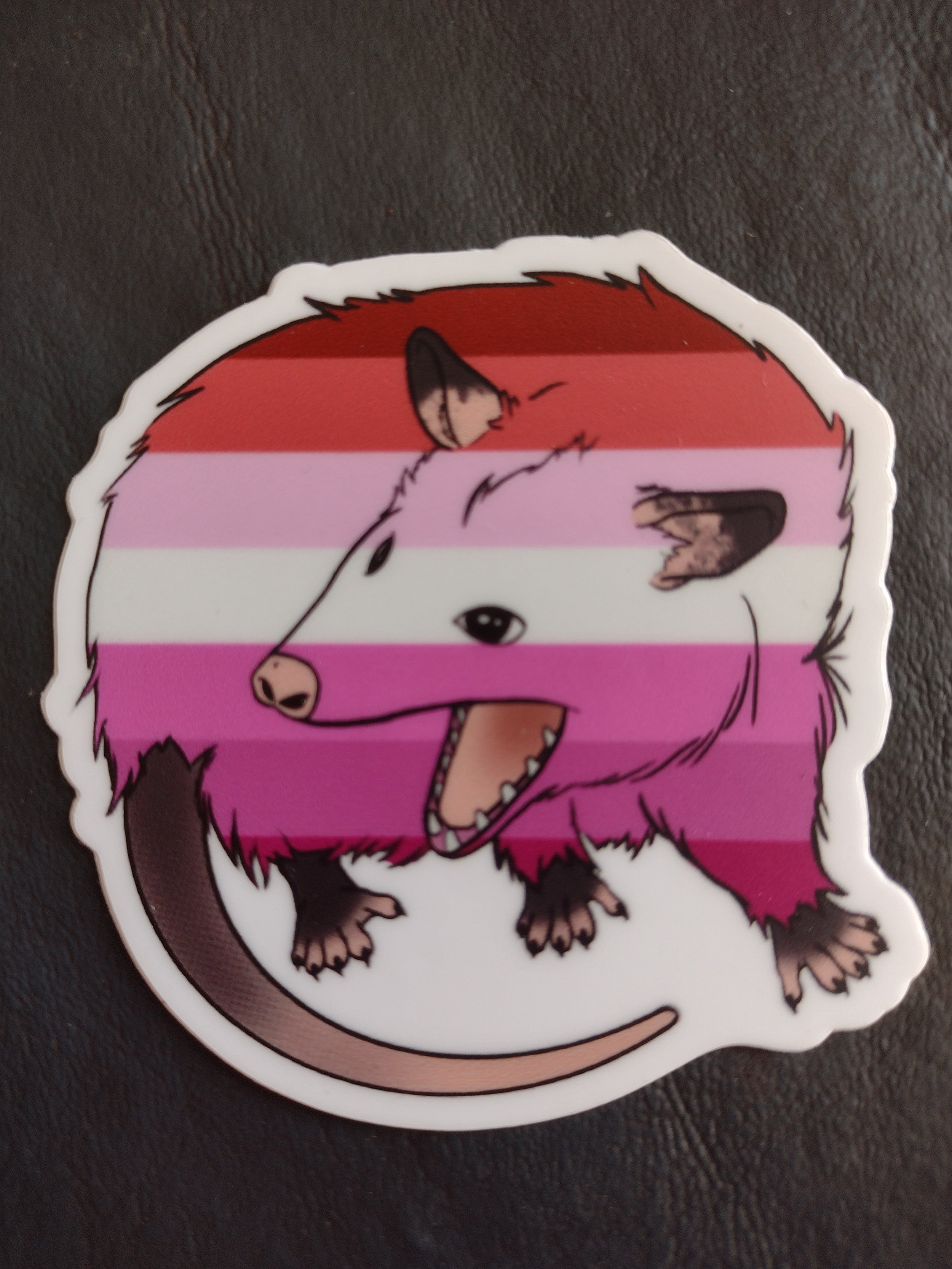 Lesbian Pride Possum Sticker