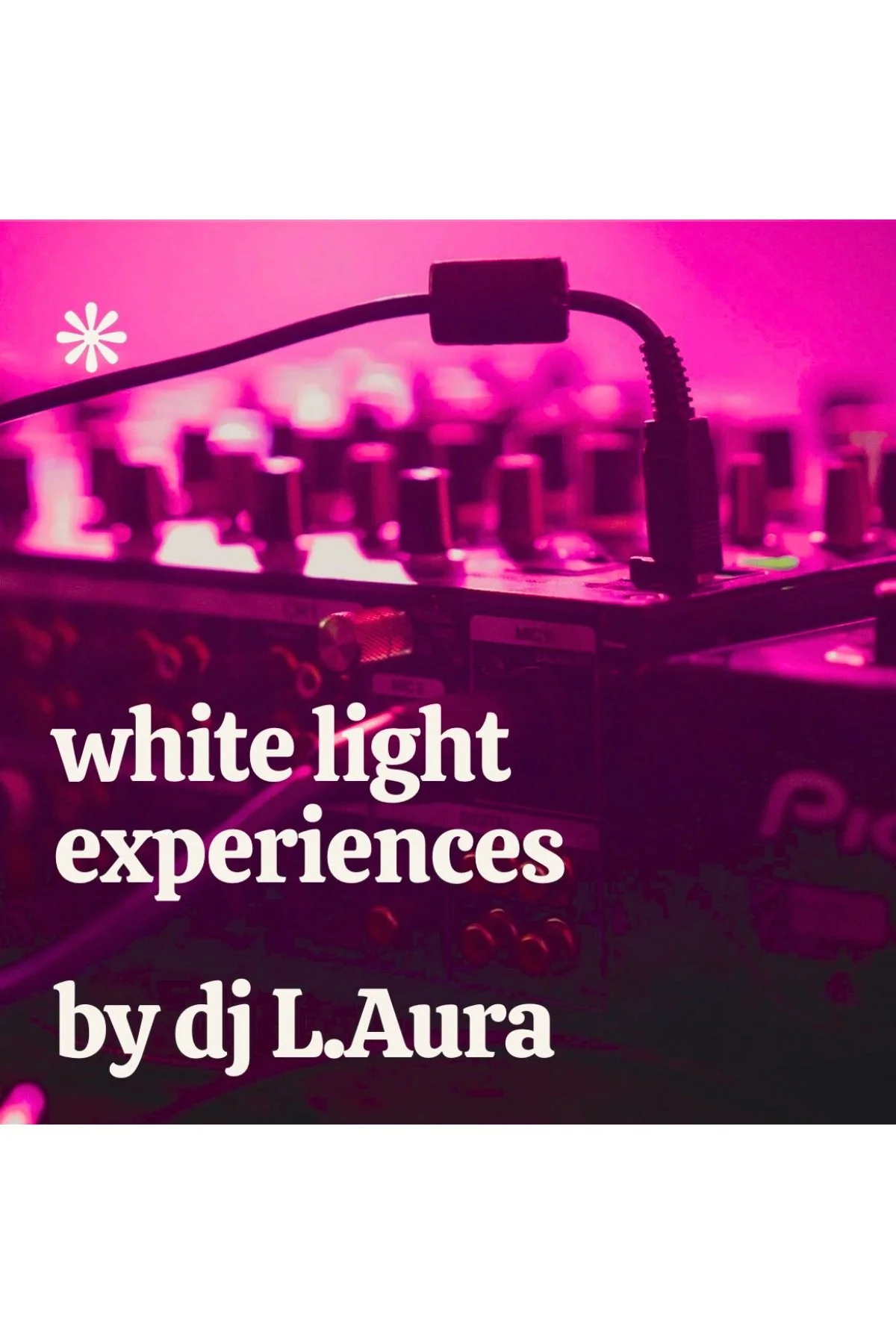 Private Offsite Event with DJ L.Aura - Client Appreciation Event in Glastonbury