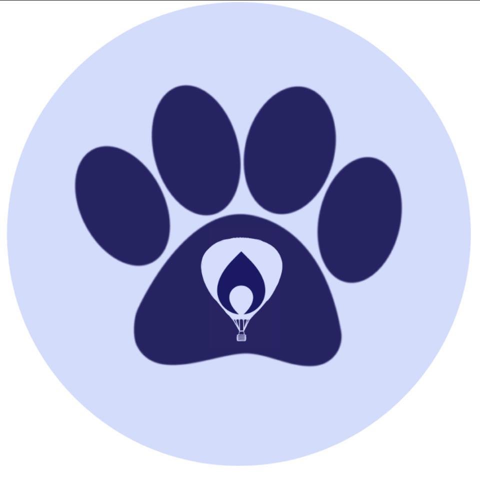 HuskyTHON - Miracle Network Dance Marathon