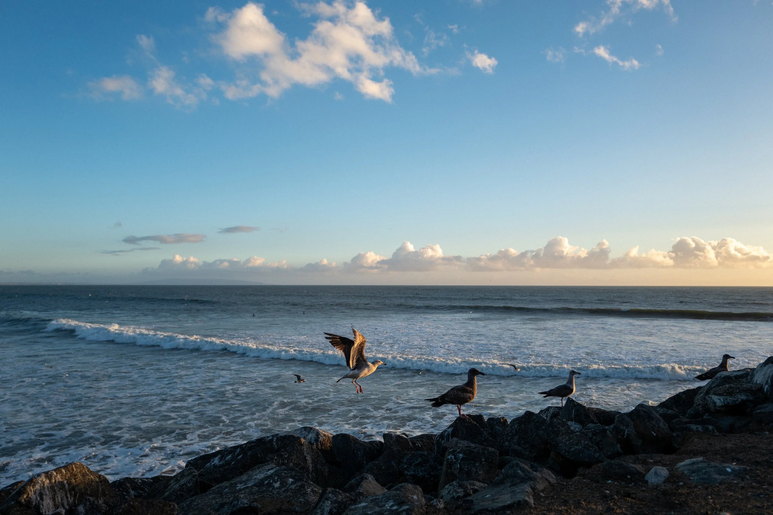 Expedited delivery (under 2 weeks)