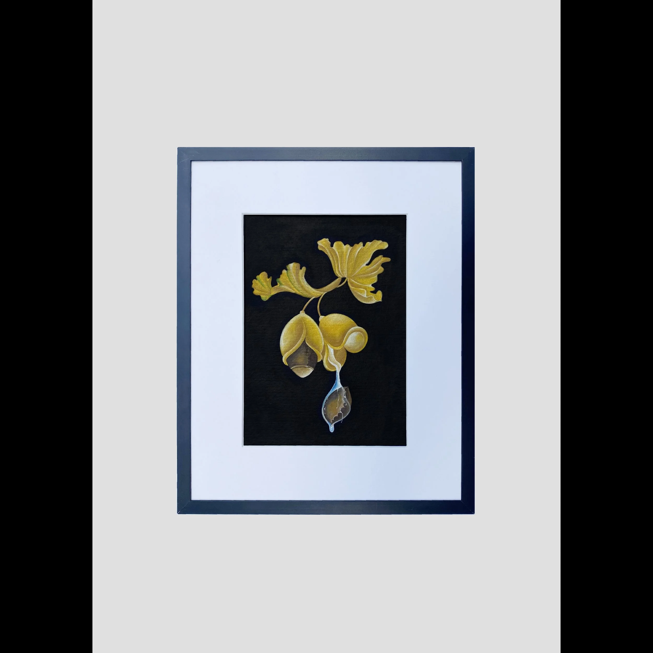 Ginkgo. 2024