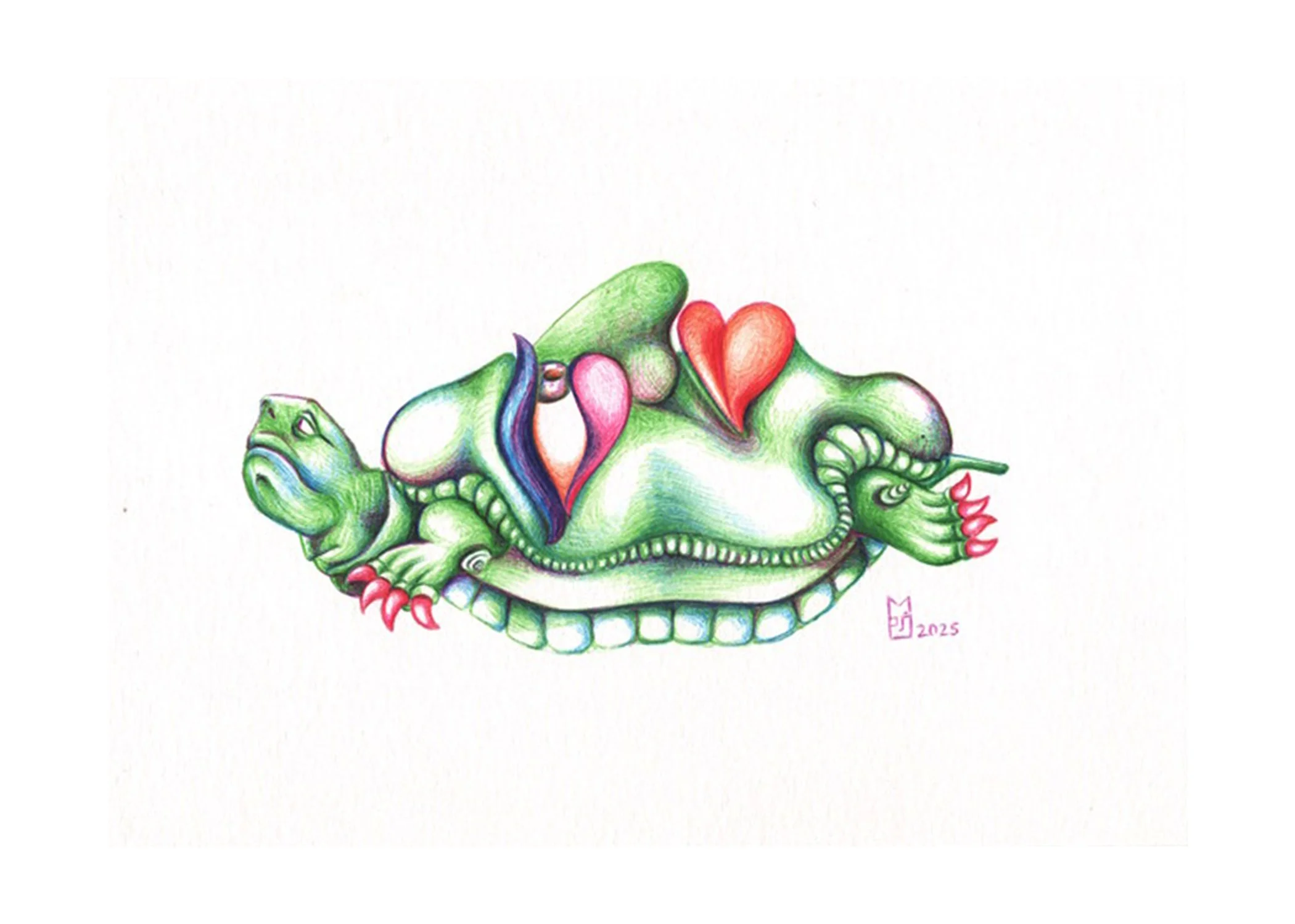 tortoise with face shell misc edit.jpg