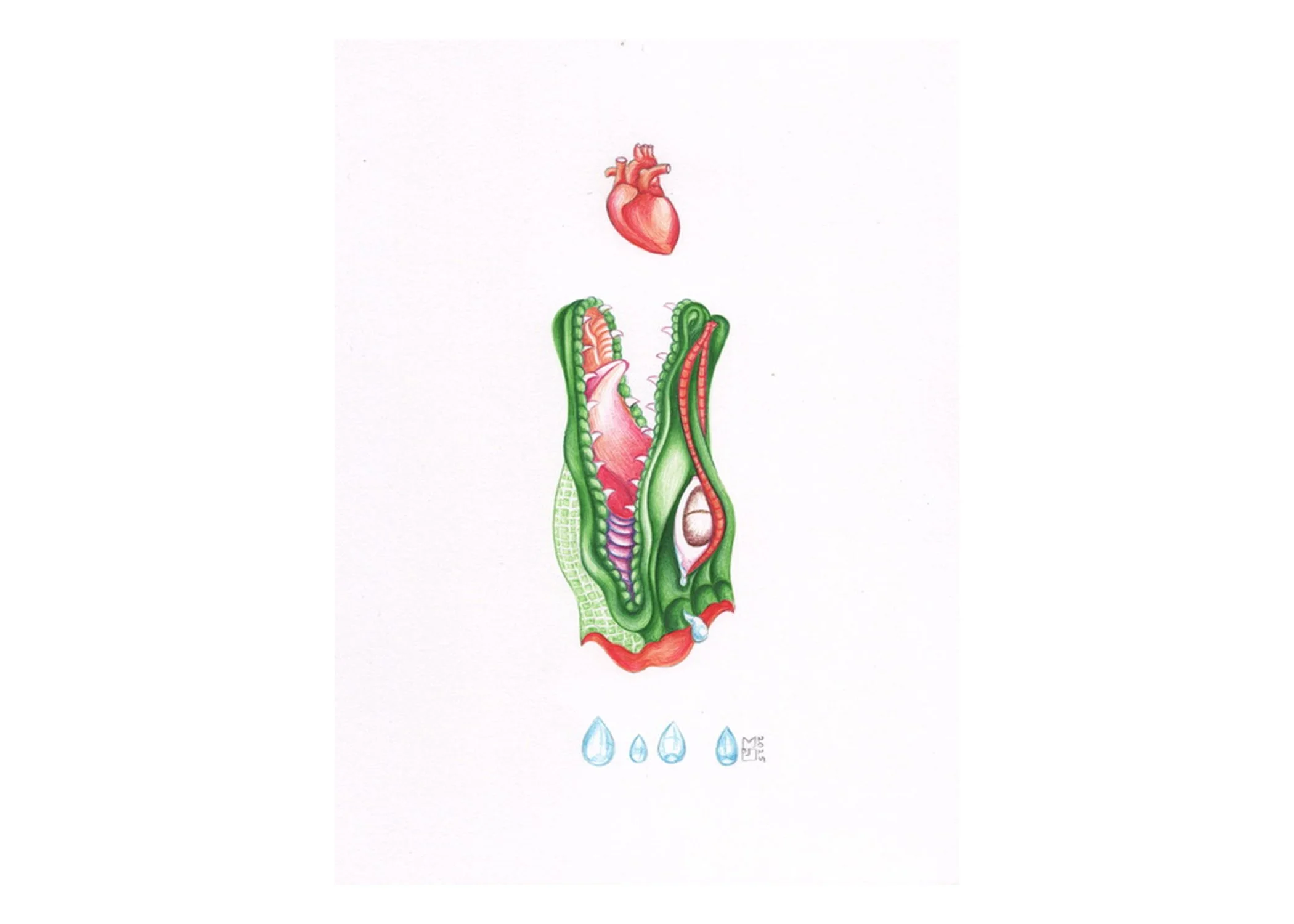 Crocodile head misc edit.jpg