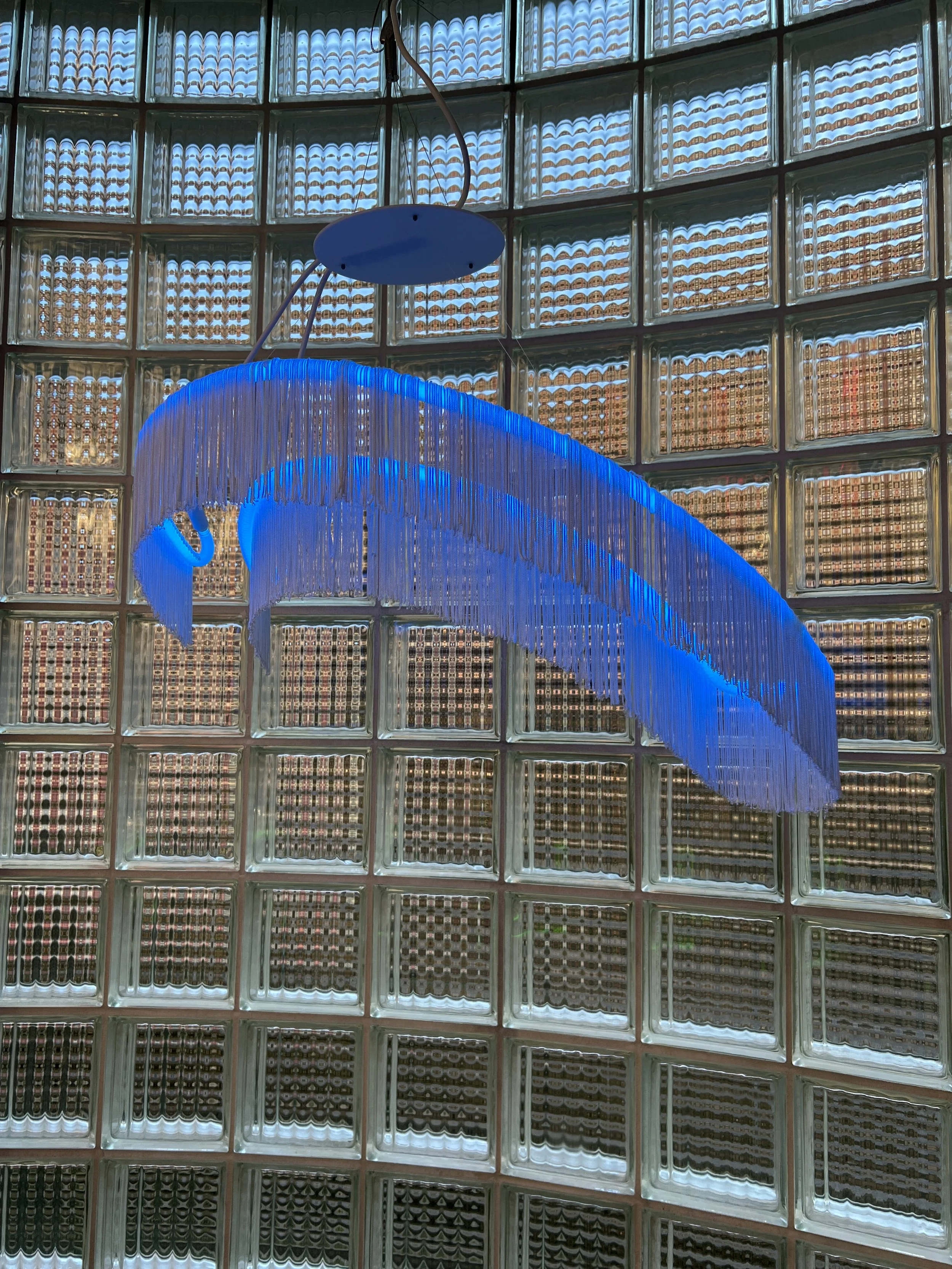 (time is a) flat circle.jpg