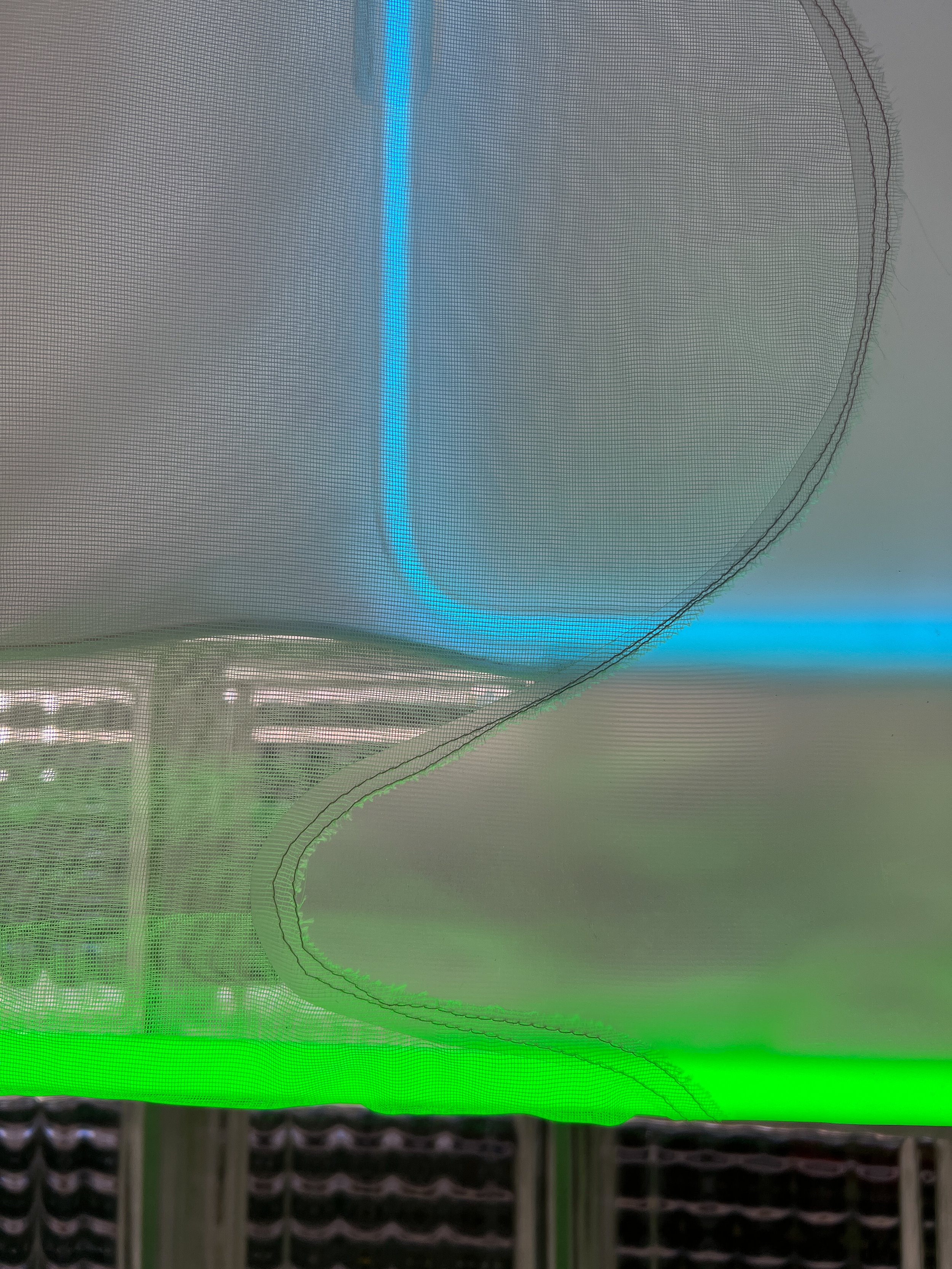 acid in the meadow-4.jpg