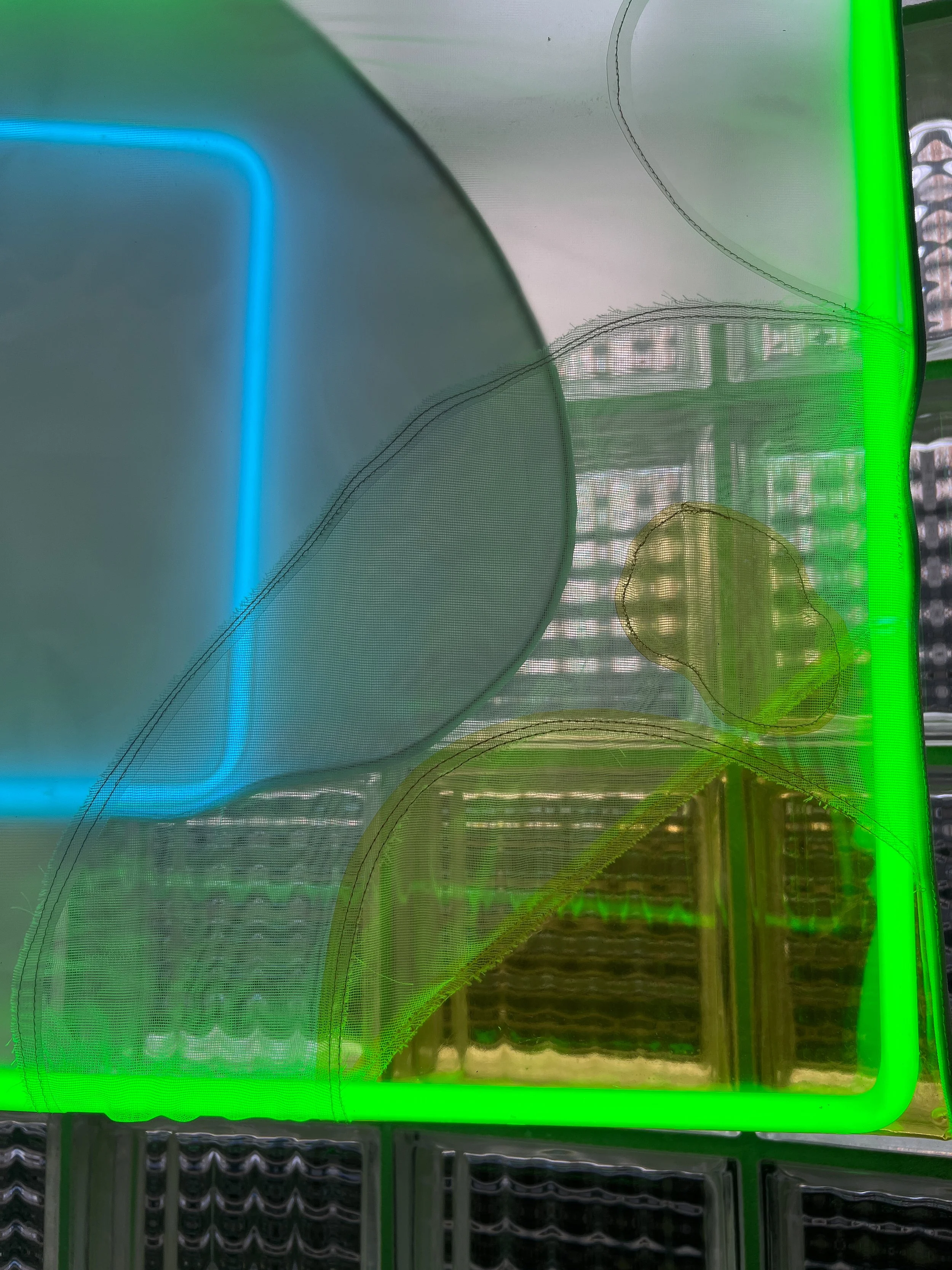 acid in the meadow-2.jpg