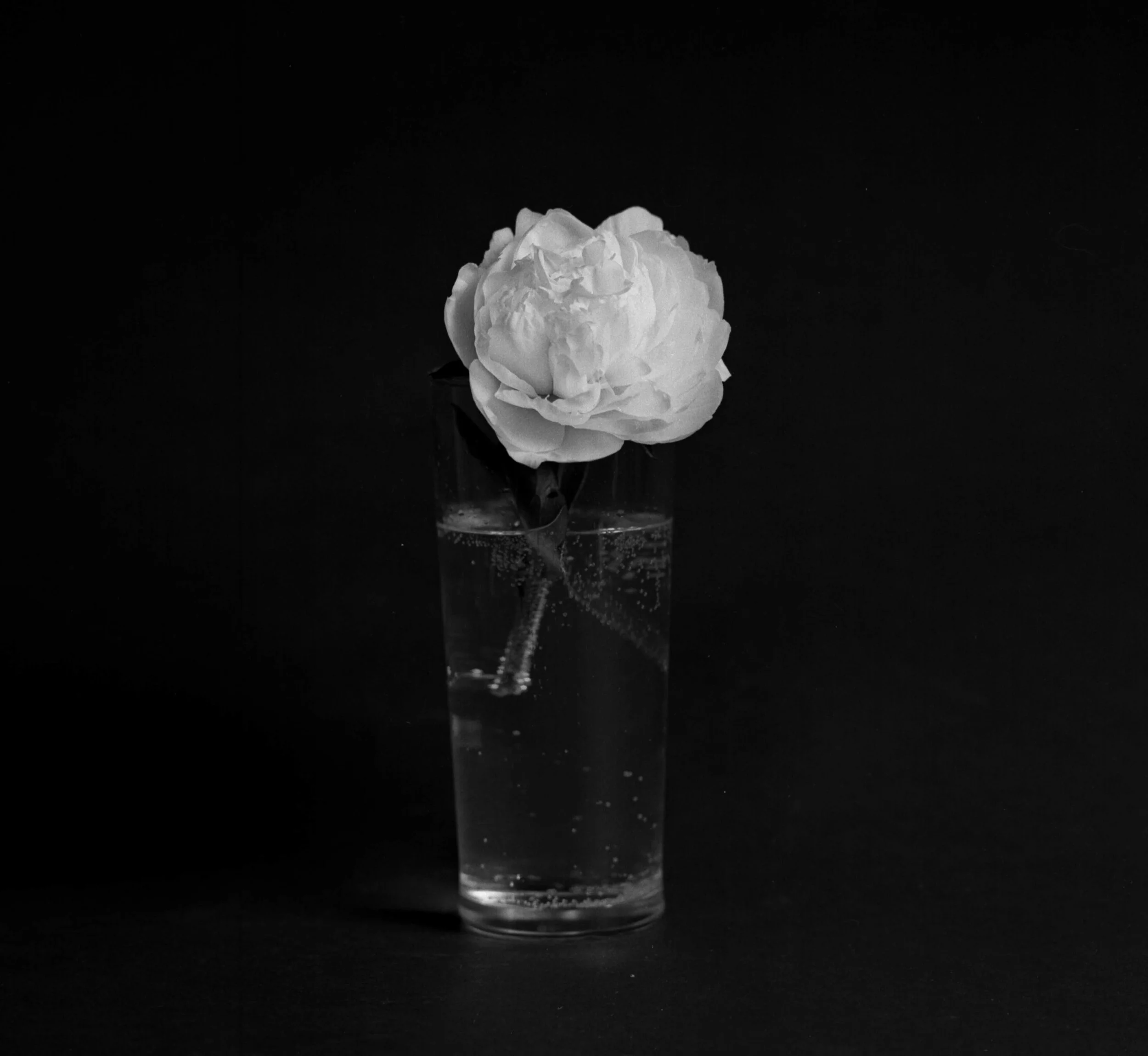 05.20.2020.01.11.jpg