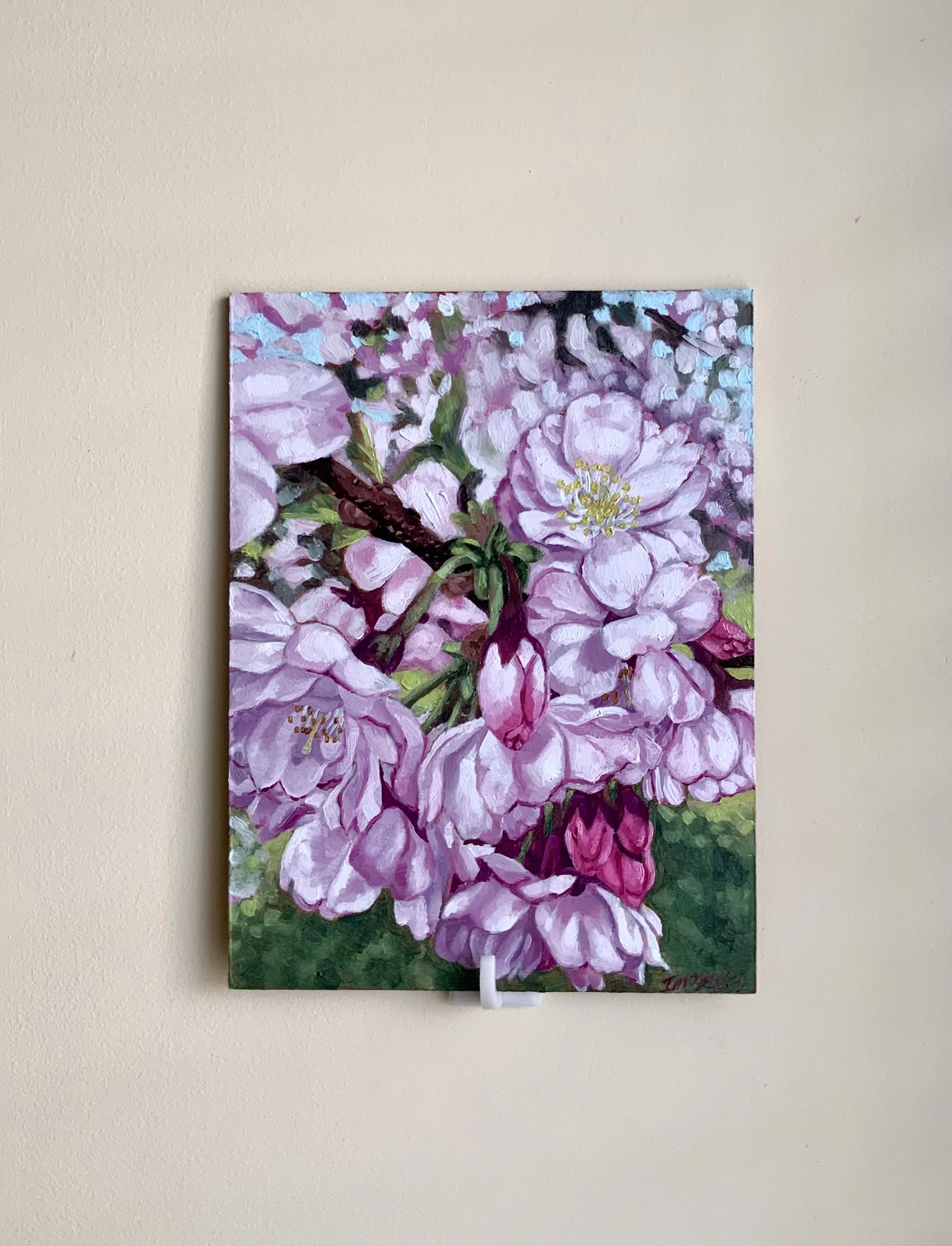 Cluster Cherry blossoms RBG, 8"x 6" Original