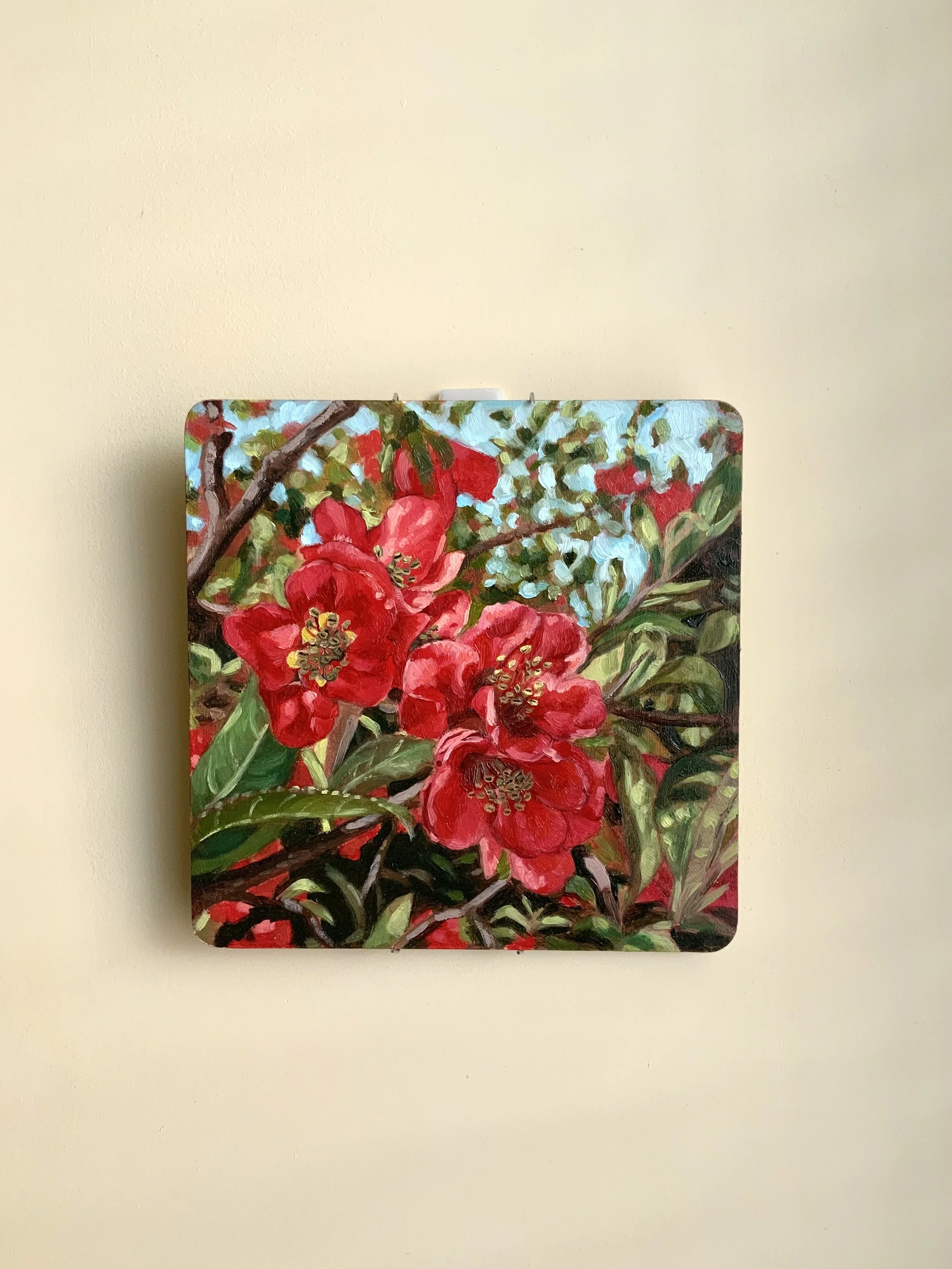 Japanese flowering quince RBG, 8.7"x 8.7"  Original