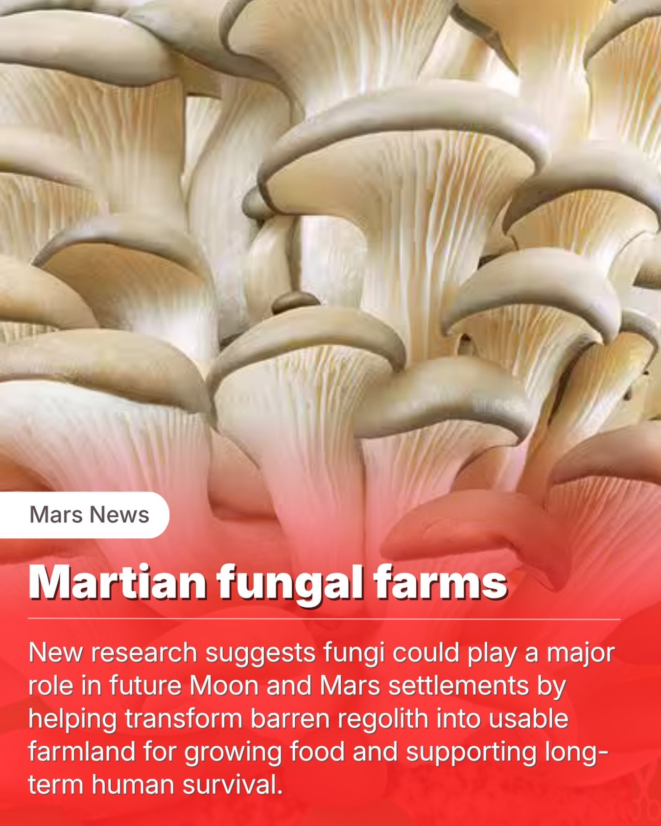 The future of farming on Mars may depend on something small, strange, and already living quietly beneath our feet on Earth.

Fungi.

A new review published in Frontiers in Astronomy and Space Sciences explores how fungal organisms could help turn bar