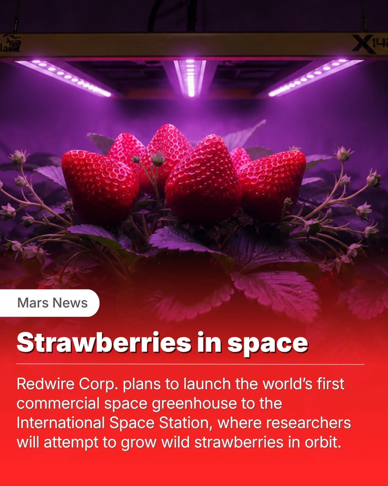 One of the biggest challenges for future Martian settlers won&rsquo;t be getting to Mars.

It will be growing food once they arrive.

This week, Redwire Corporation announced plans to launch what it calls the world&rsquo;s first commercial space gree