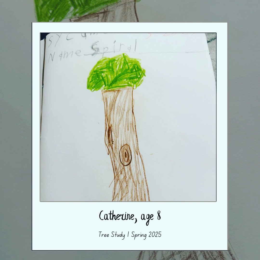 Spring 2025
#OldForestSchool
#NatureNotebook
#NatureStudy