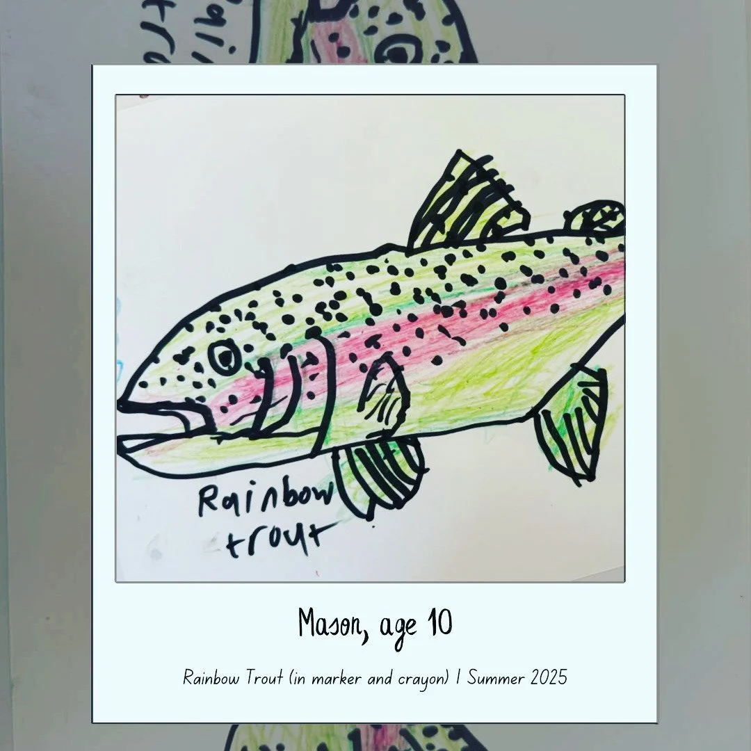 Summer 2025
#OldForestSchool
#NatureNotebook
#NatureStudy