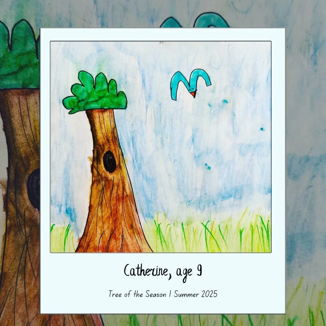 Summer 2025
#OldForestSchool
#NatureNotebook
#NatureStudy