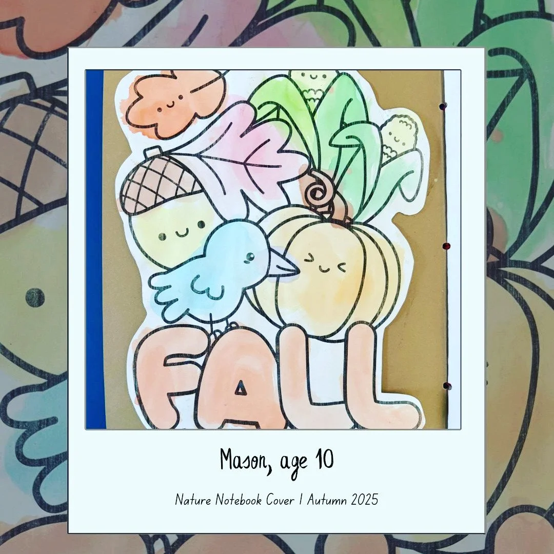 Autumn 2025
#OldForestSchool
#NatureNotebook
#NatureStudy
