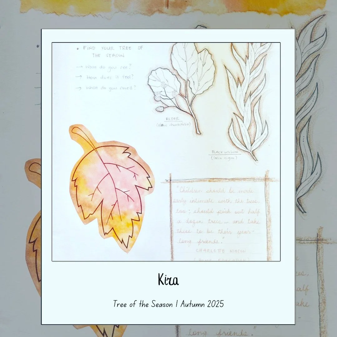 Autumn 2025
#OldForestSchool
#NatureNotebook
#NatureStudy