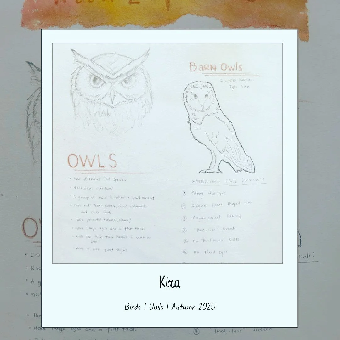 Autumn 2025
#OldForestSchool
#NatureNotebook
#NatureStudy