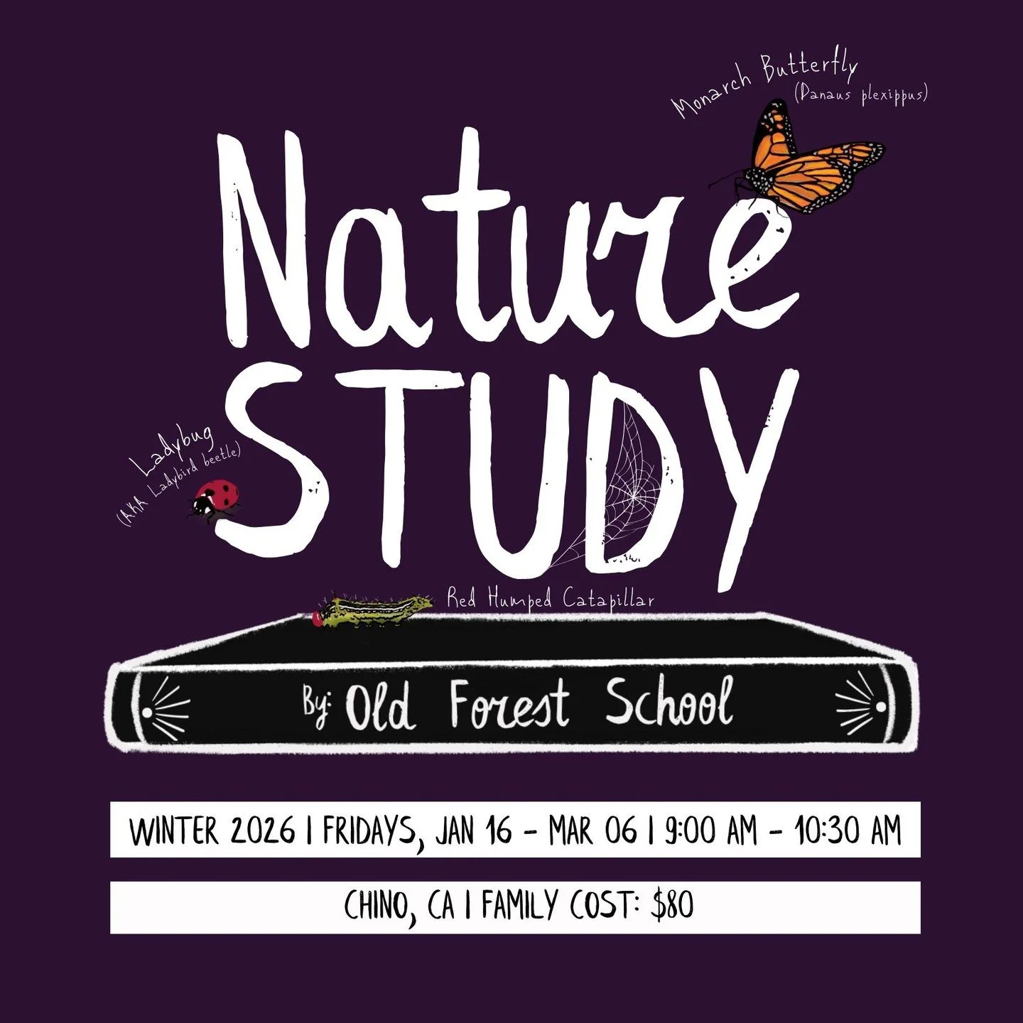 This season, we are constructing new nature notebooks, looking to make a new tree friend, observing the winter sky, creating maps, and more!

Register today!
oldforestschool.org