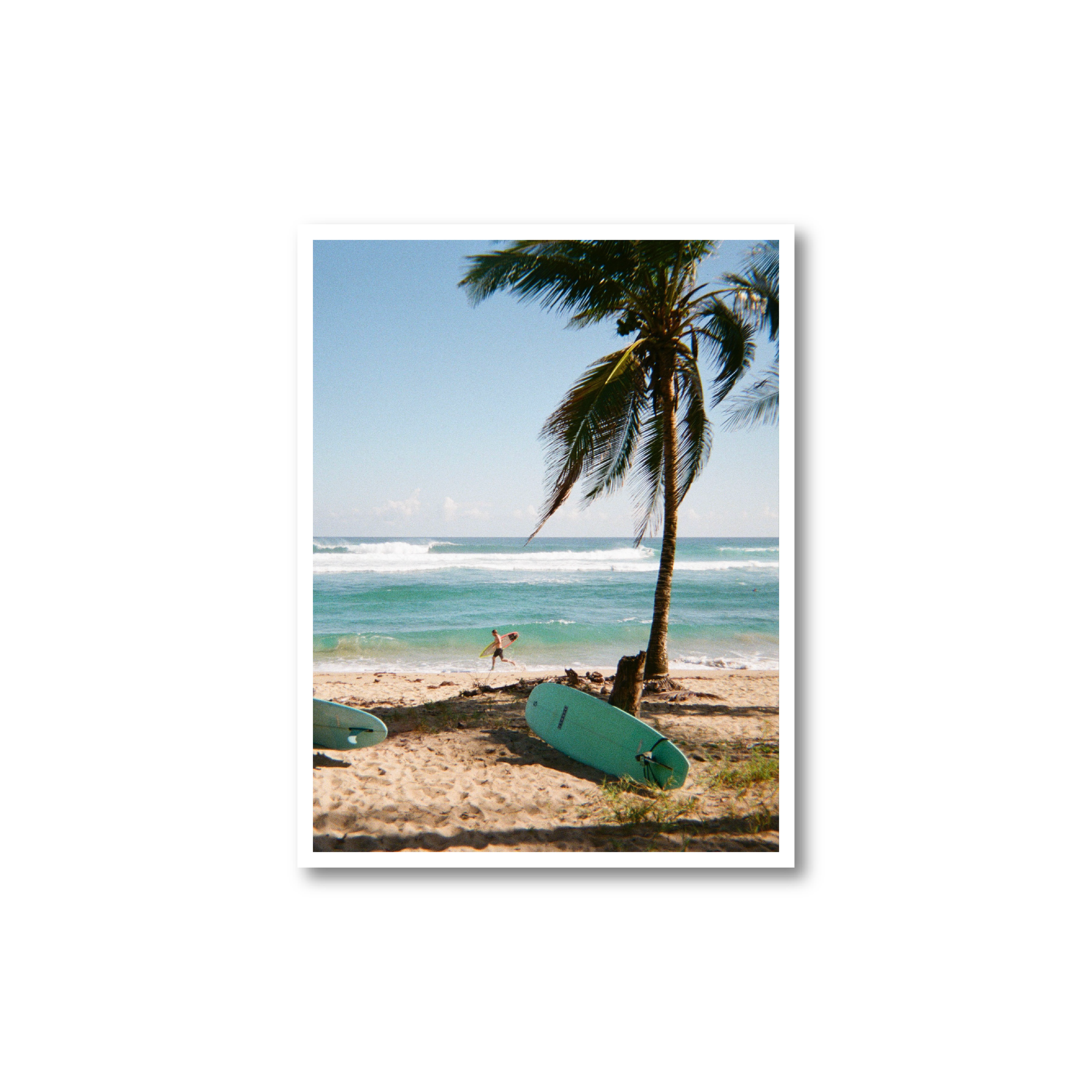 DR Surfer Print