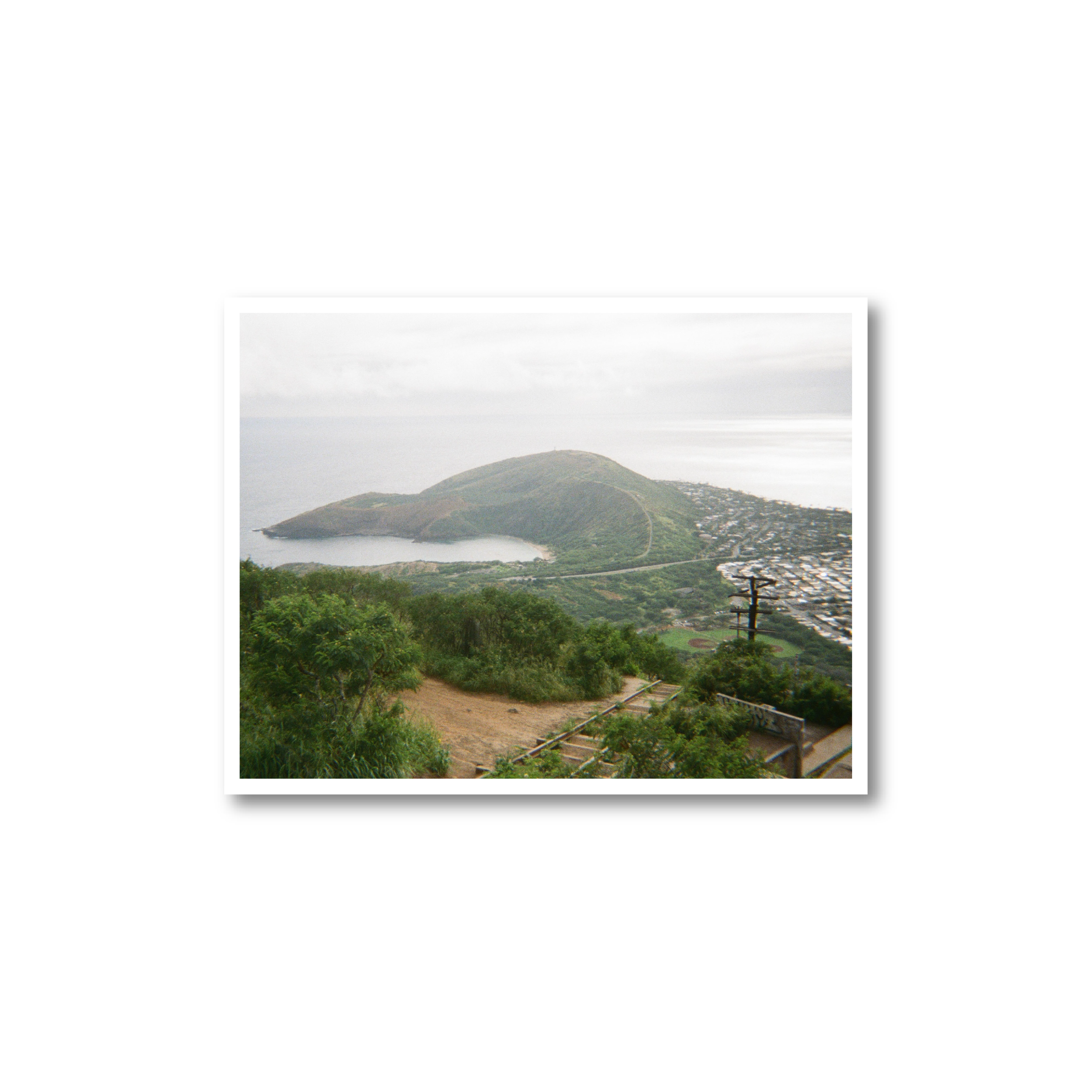 Horizontal Koko Head Print