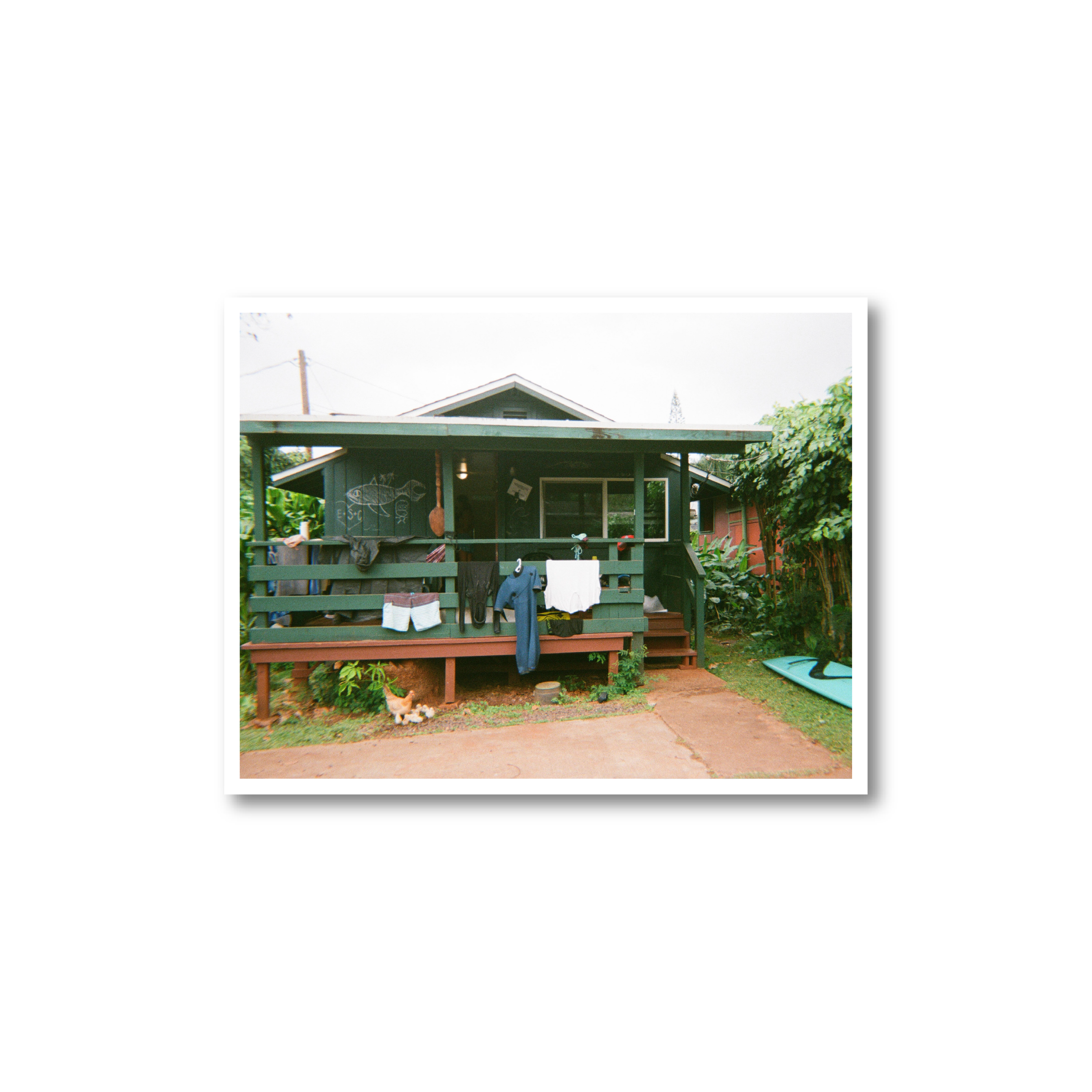 Hawaii Cabin Print