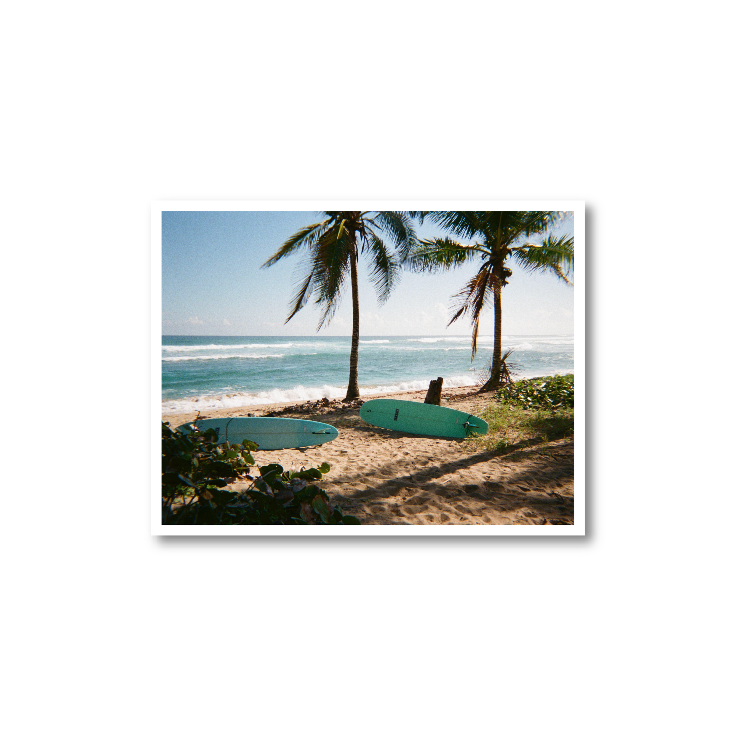 DR Boards Print