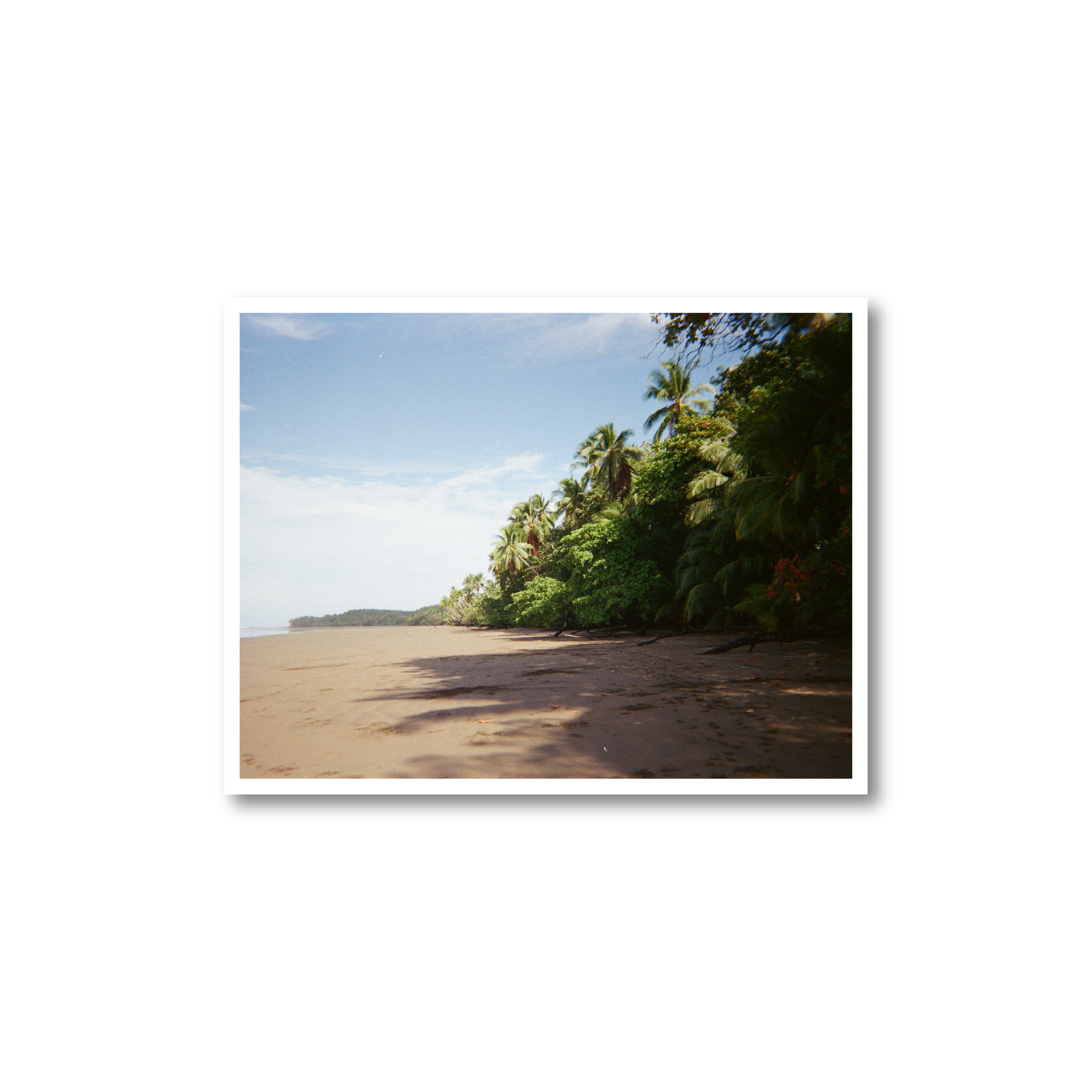 Uvita 1 Print