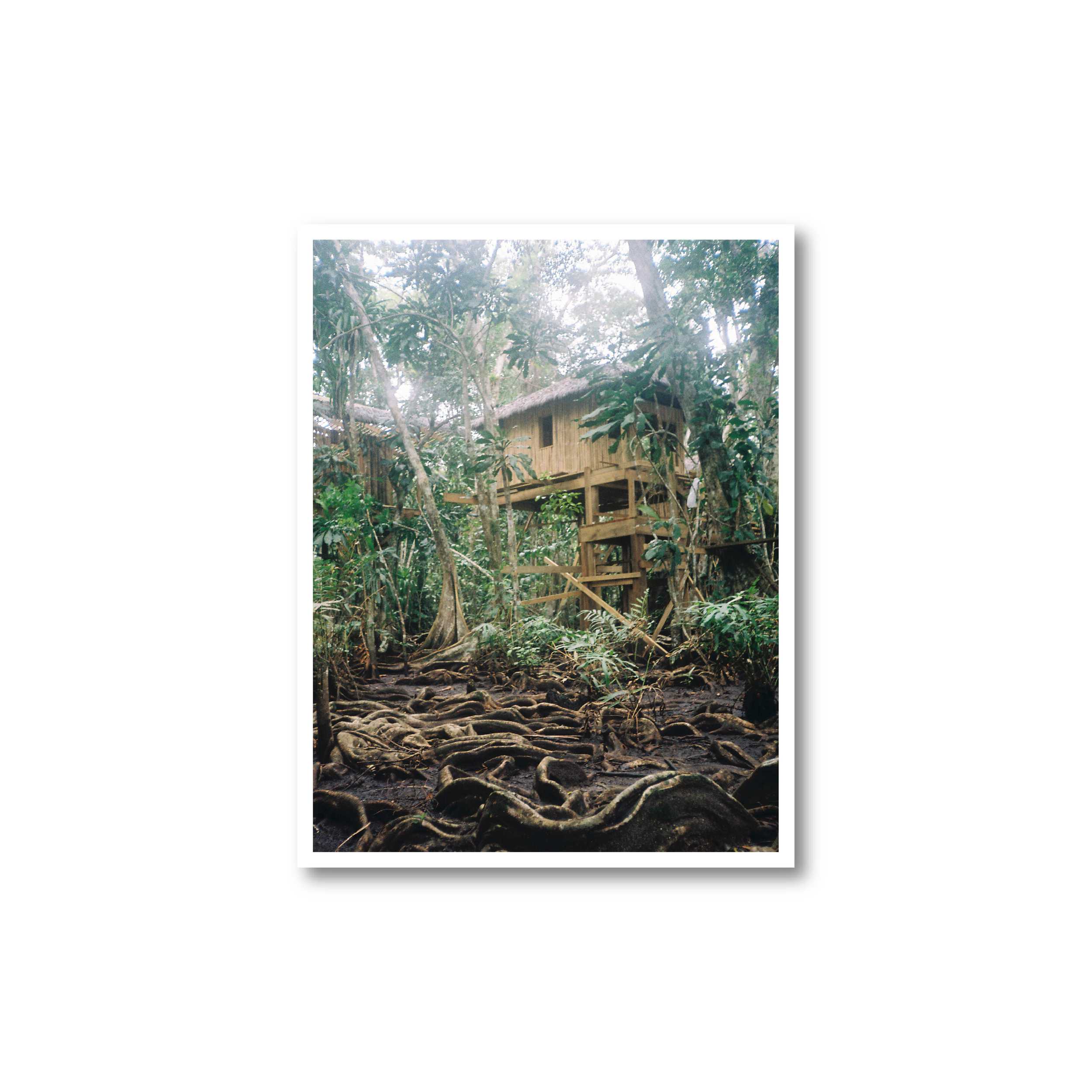 Panama Hut Print