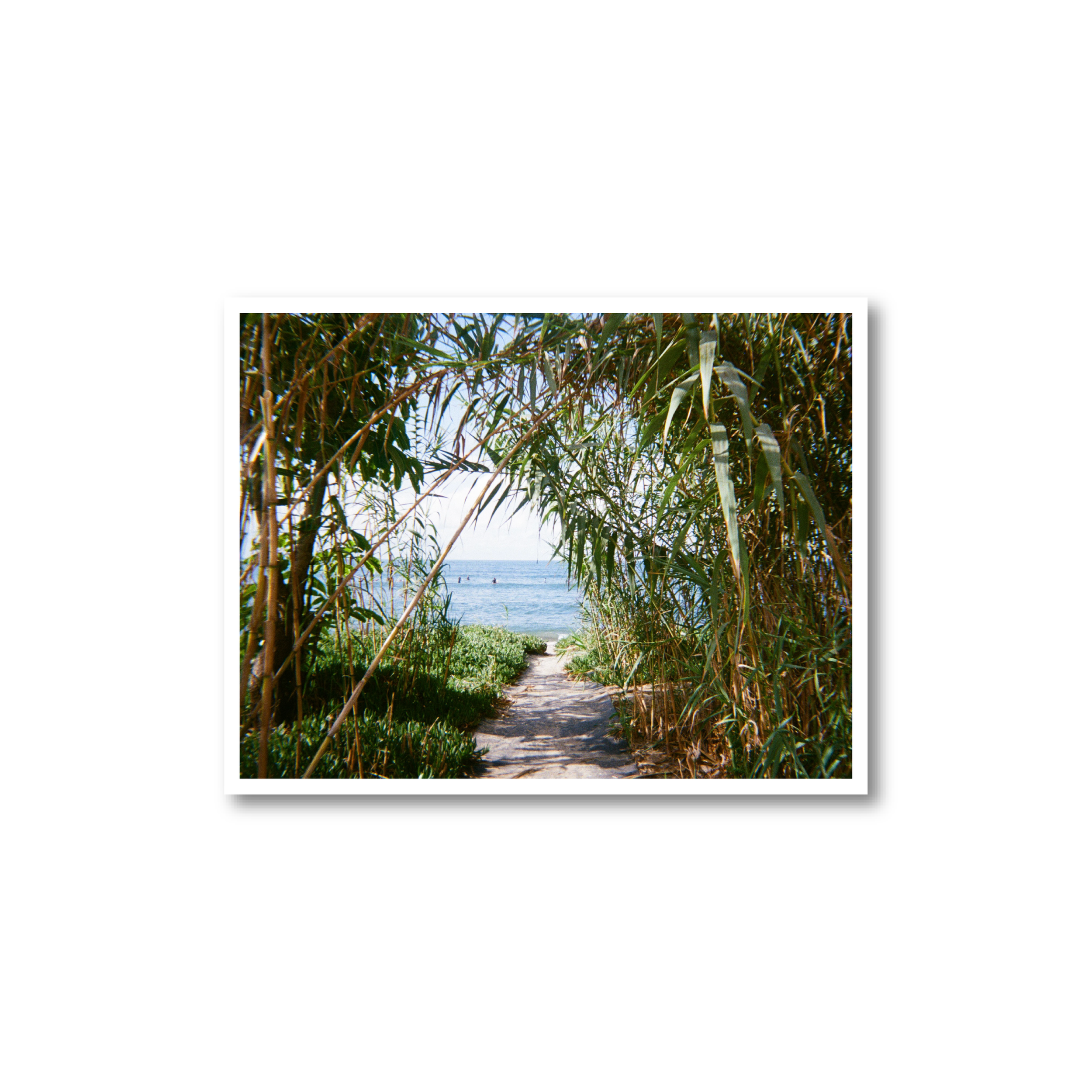 San O Trail Print