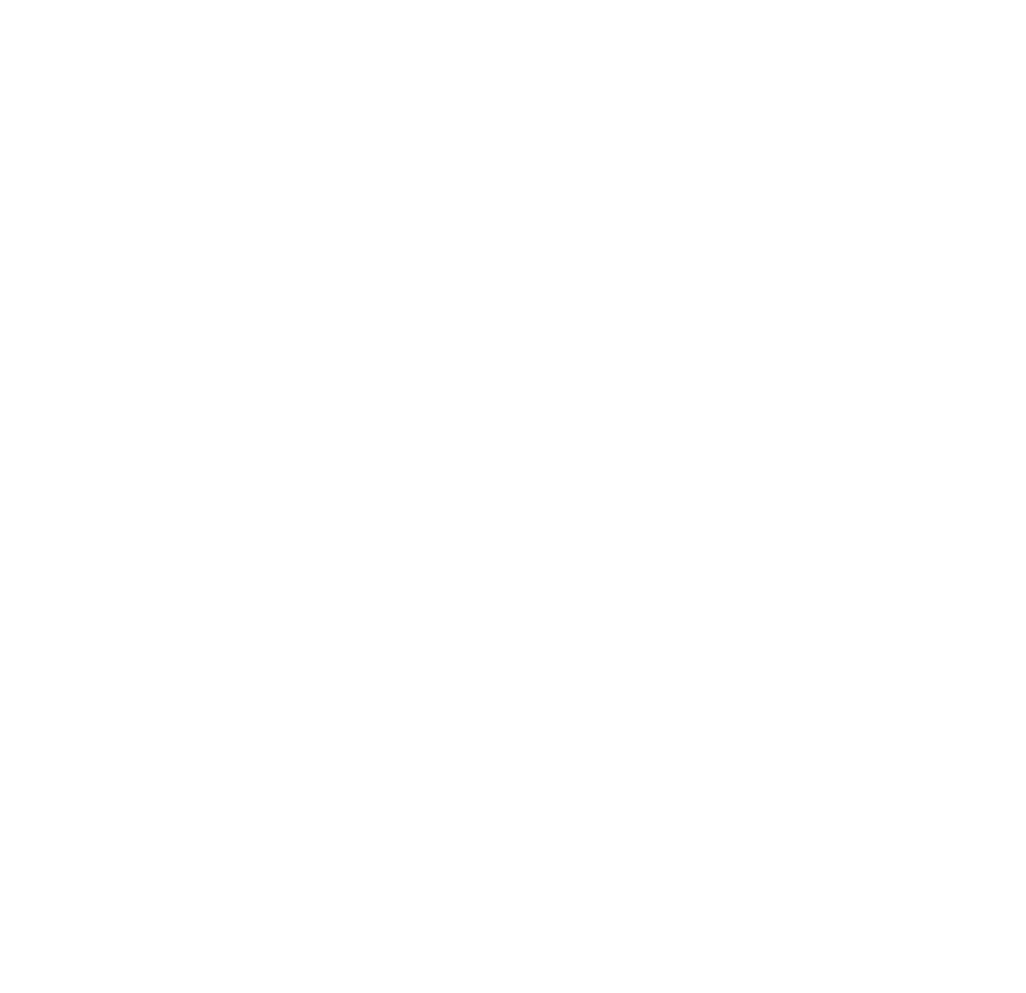 NSMBC White logo.png