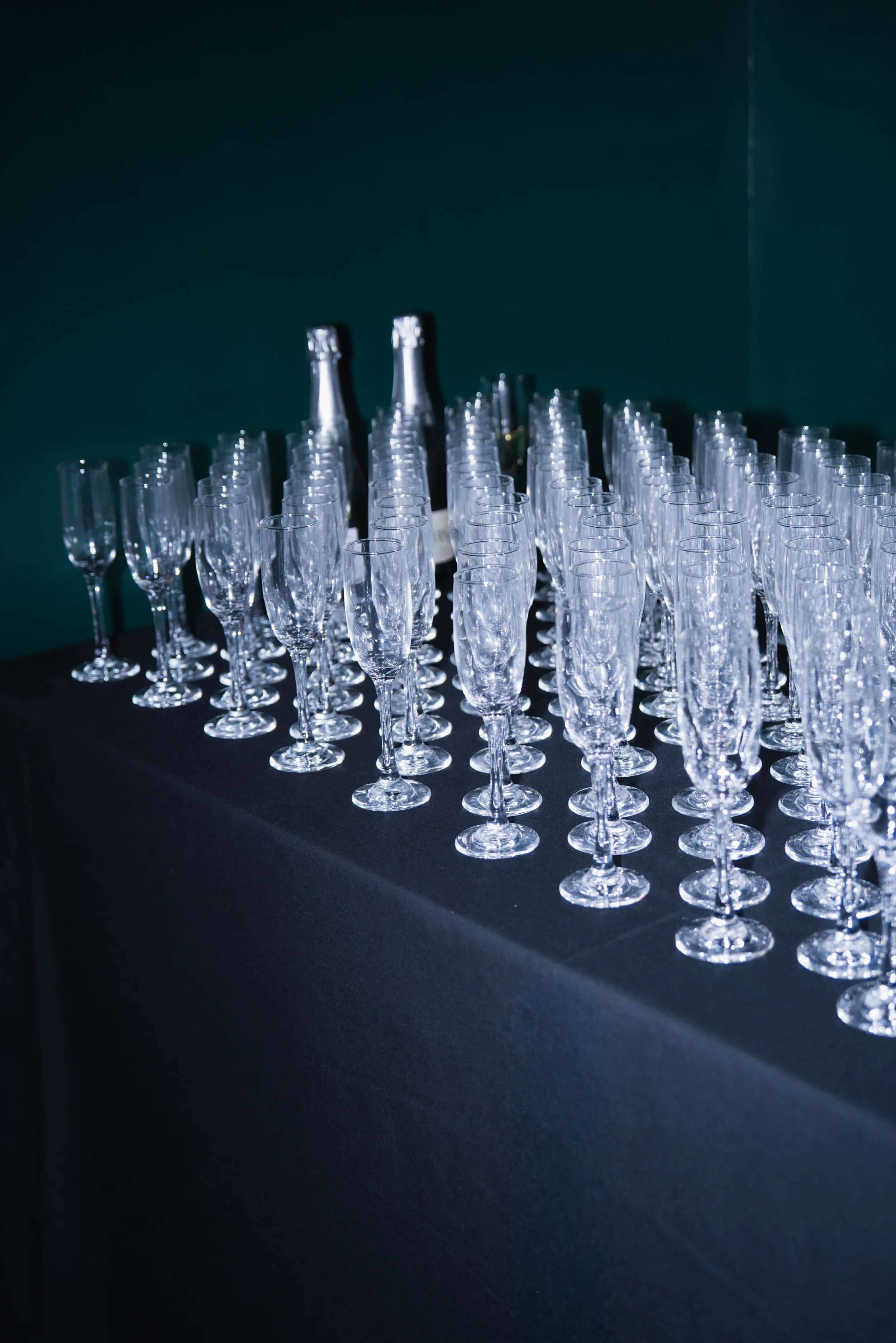 Copy of 11-8 WBI Gala-14.webp