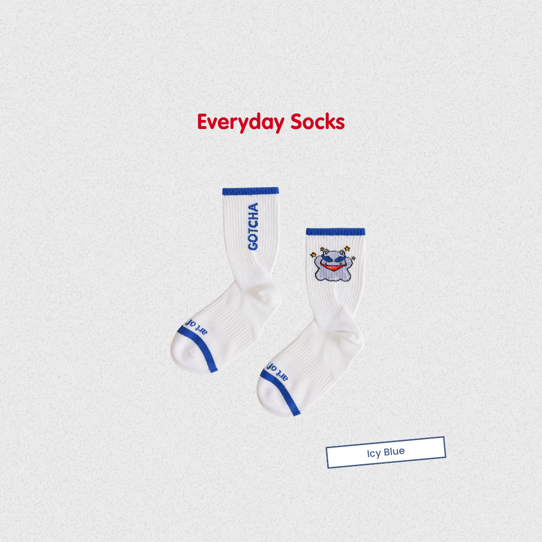 AOS Everyday Socks - BLUE / WHITE