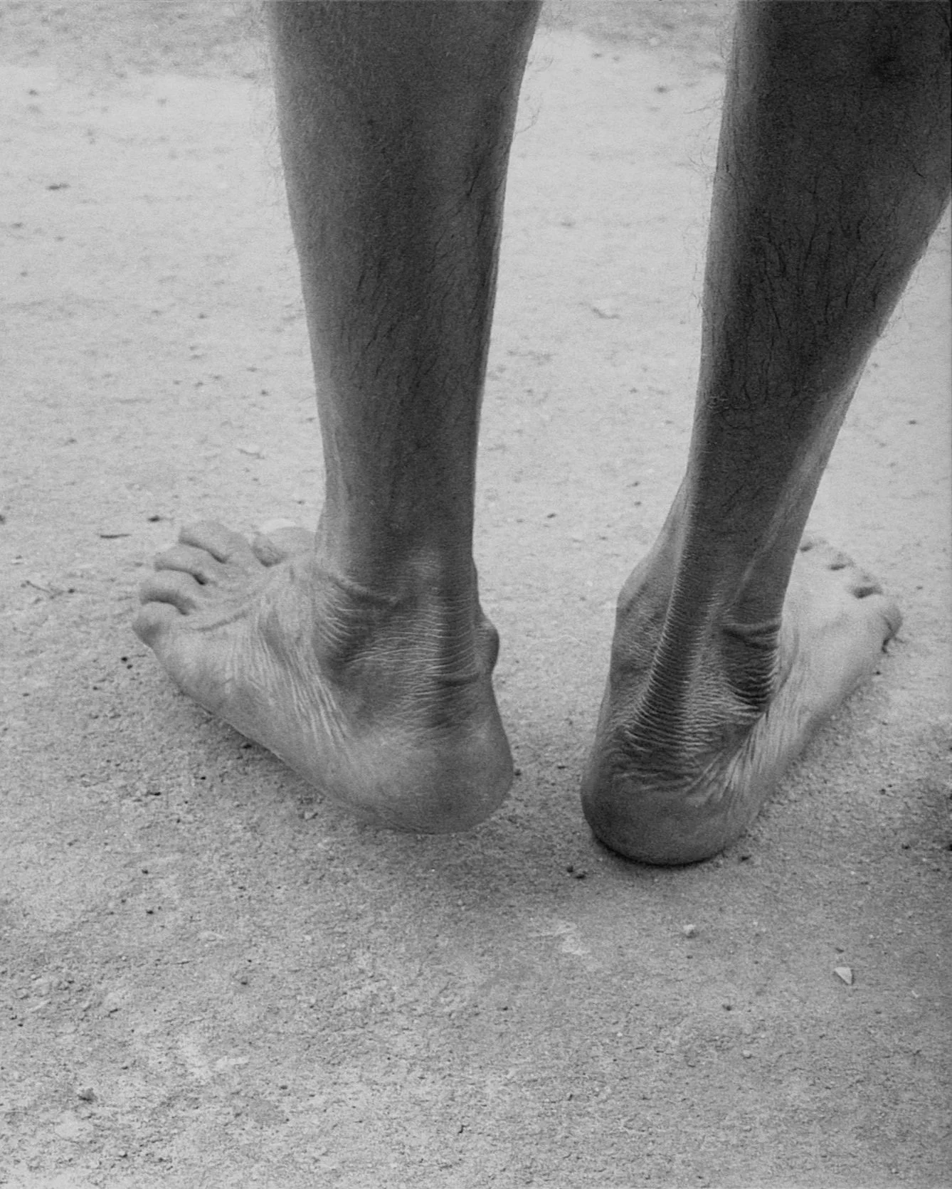 LEVE-LEVE — The Art of Taking Life Step by Step