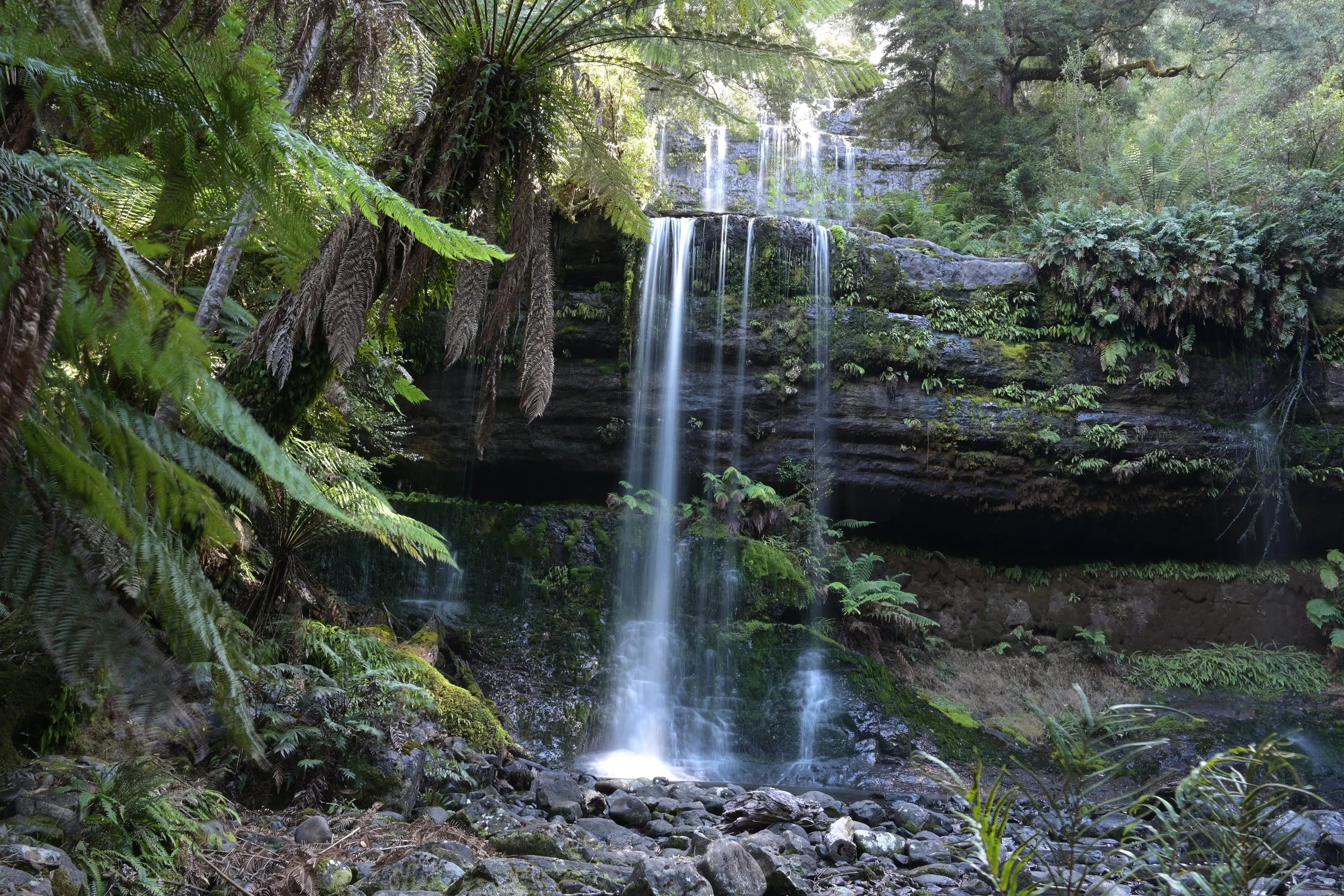 Russel Falls, Mt Field NP, Tasmania, Australia. (c) Nicola Sentinella