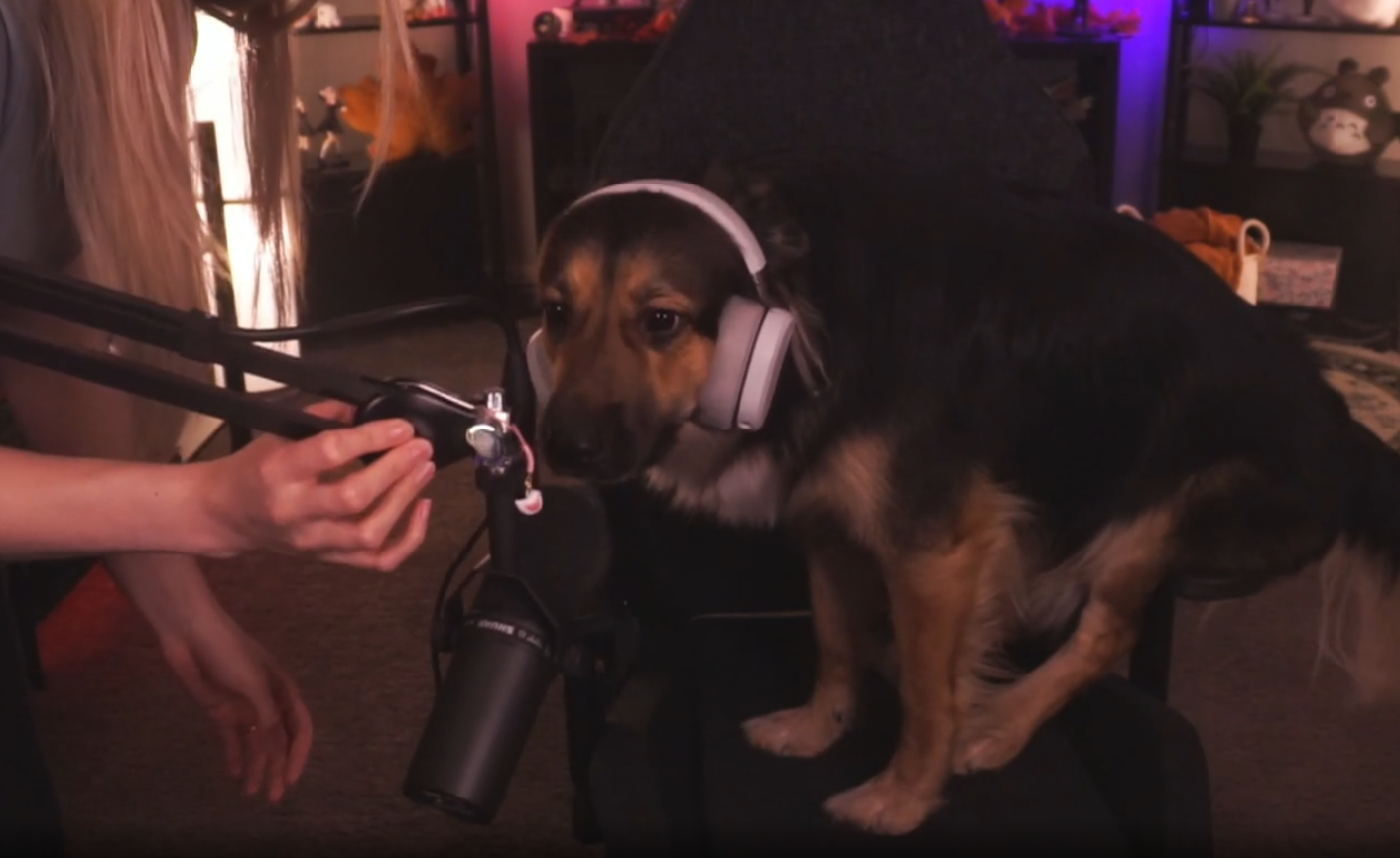 Screenshot 2025-11-15 231607.png